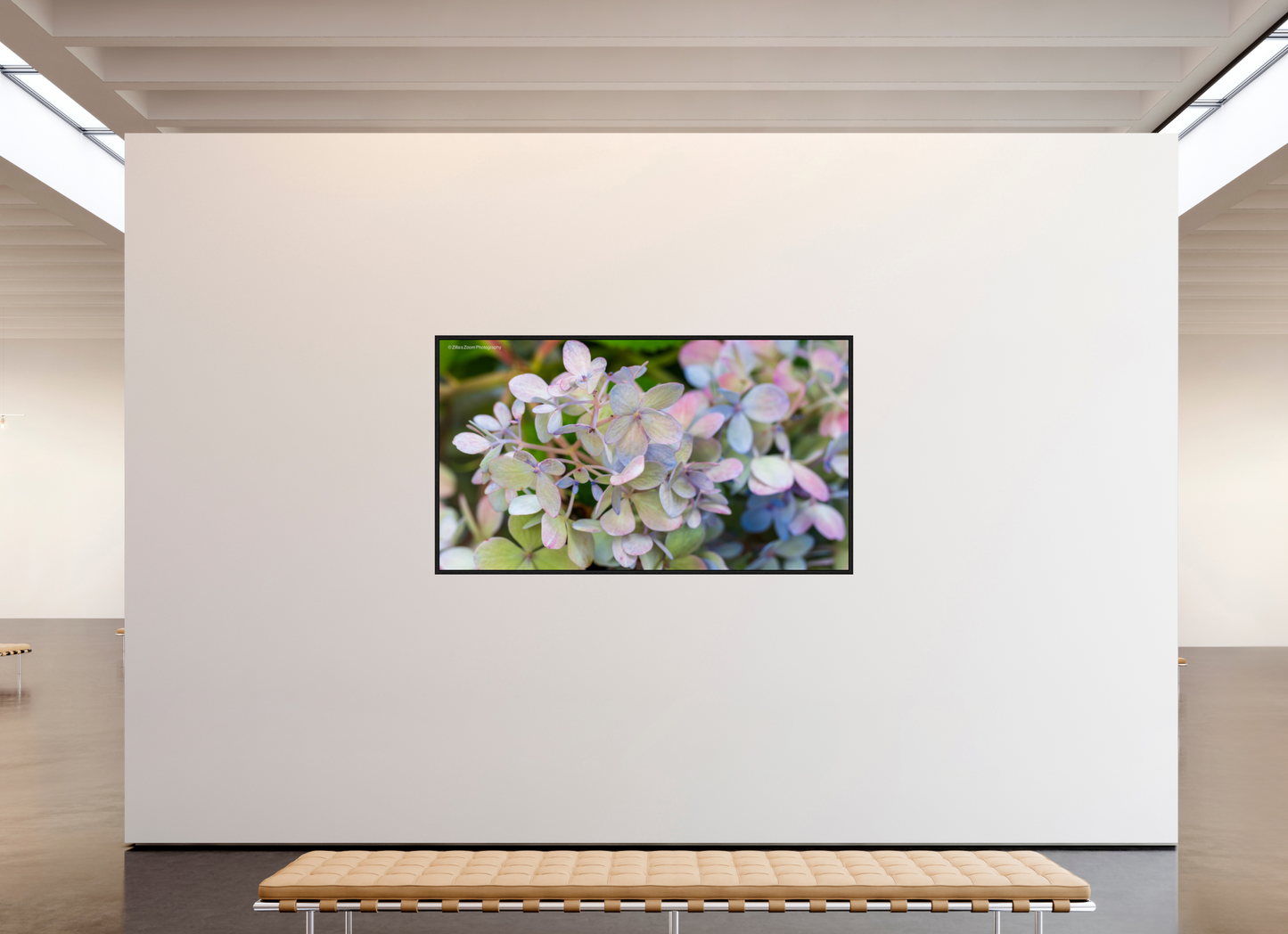 80 x 45″, Floater Frame Zillas Zoom Image 90