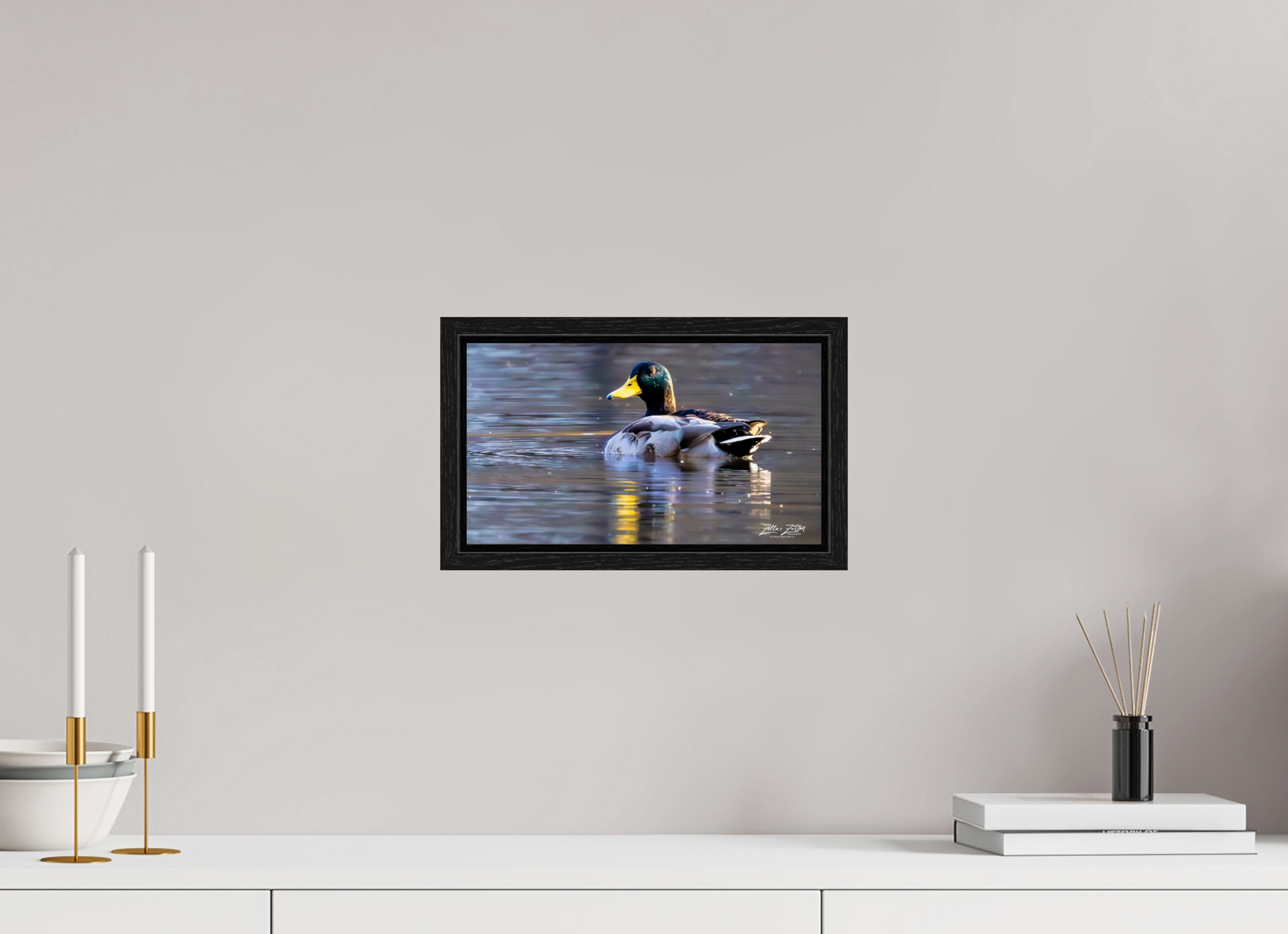 12 x 6.8″, Floater Frame Zillas Zoom Image 334