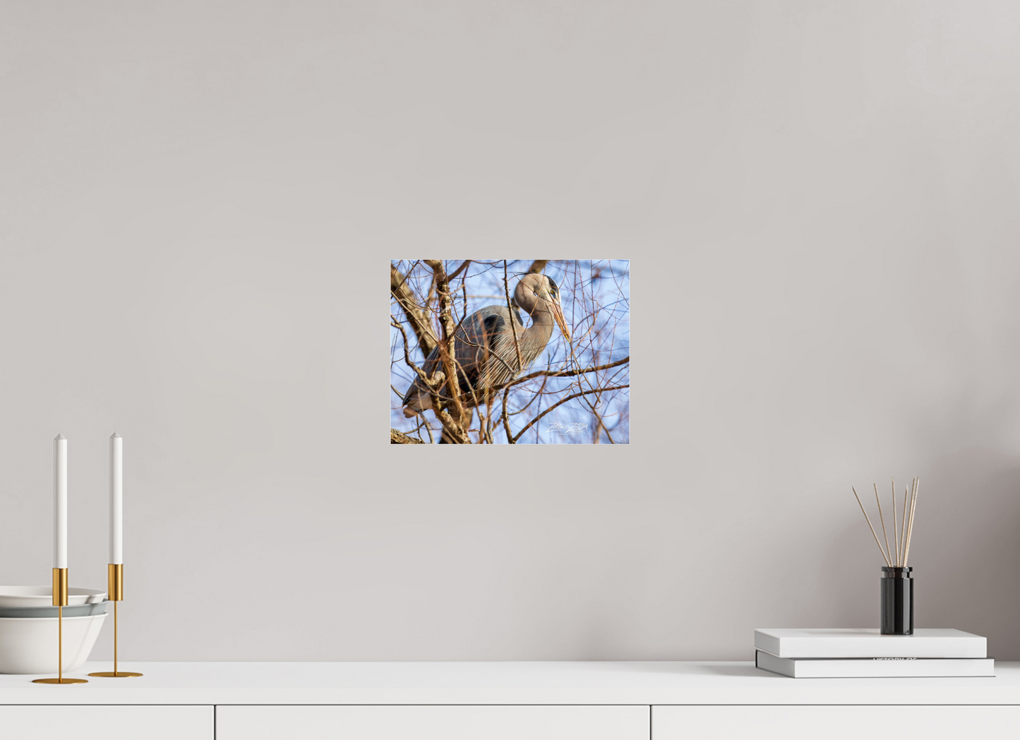 10.4 x 8″, Photo Print Under Acrylic Glass Zillas Zoom Image 363