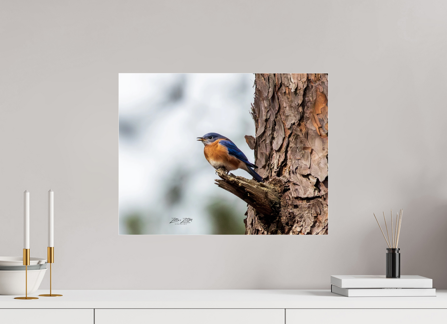 20.7 x 16″, Photo Print Under Acrylic Glass Zillas Zoom Image 349