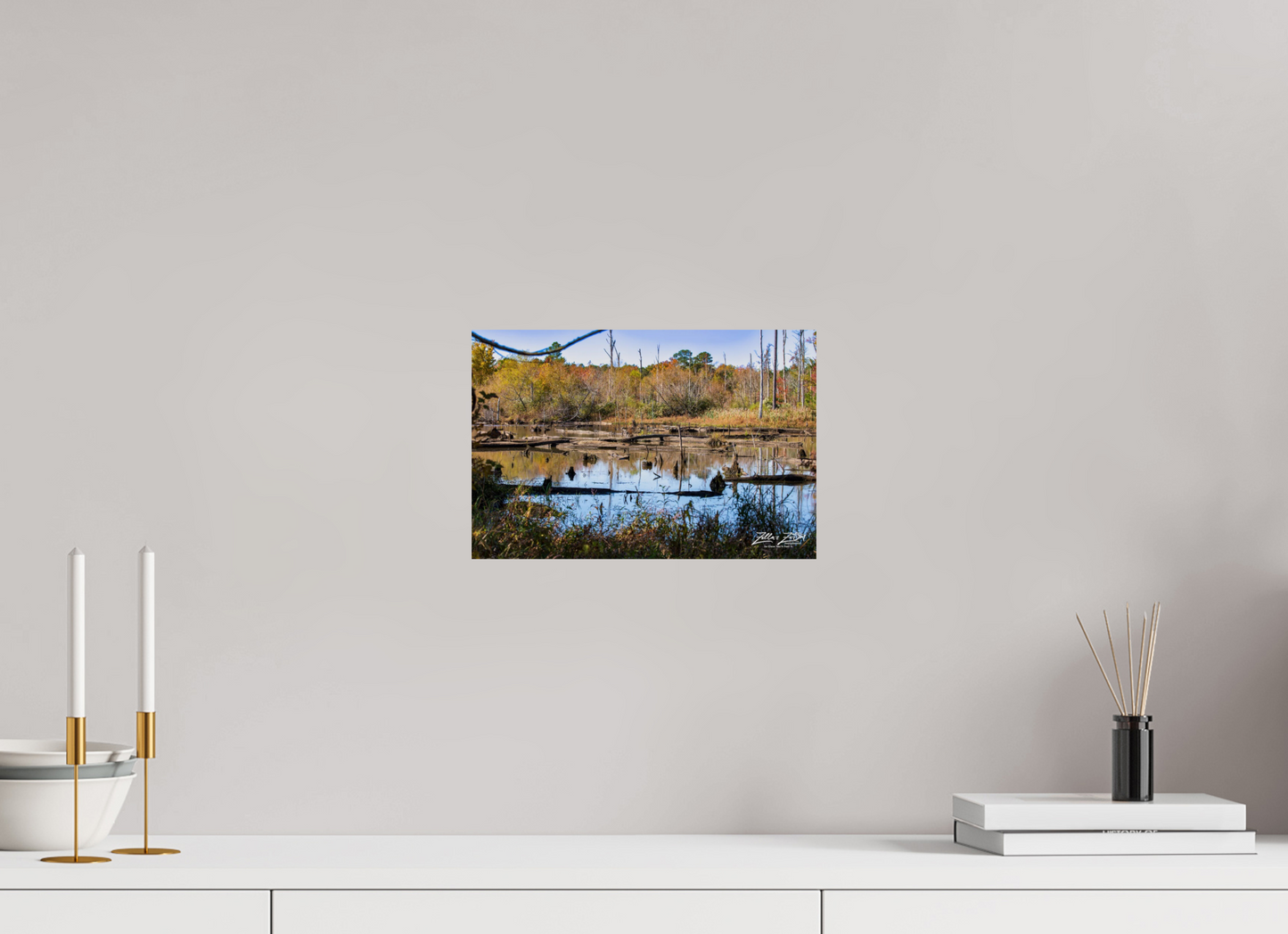 12 x 8″, Photo Print On Fuji Crystal DP II Zillas Zoom Image 205