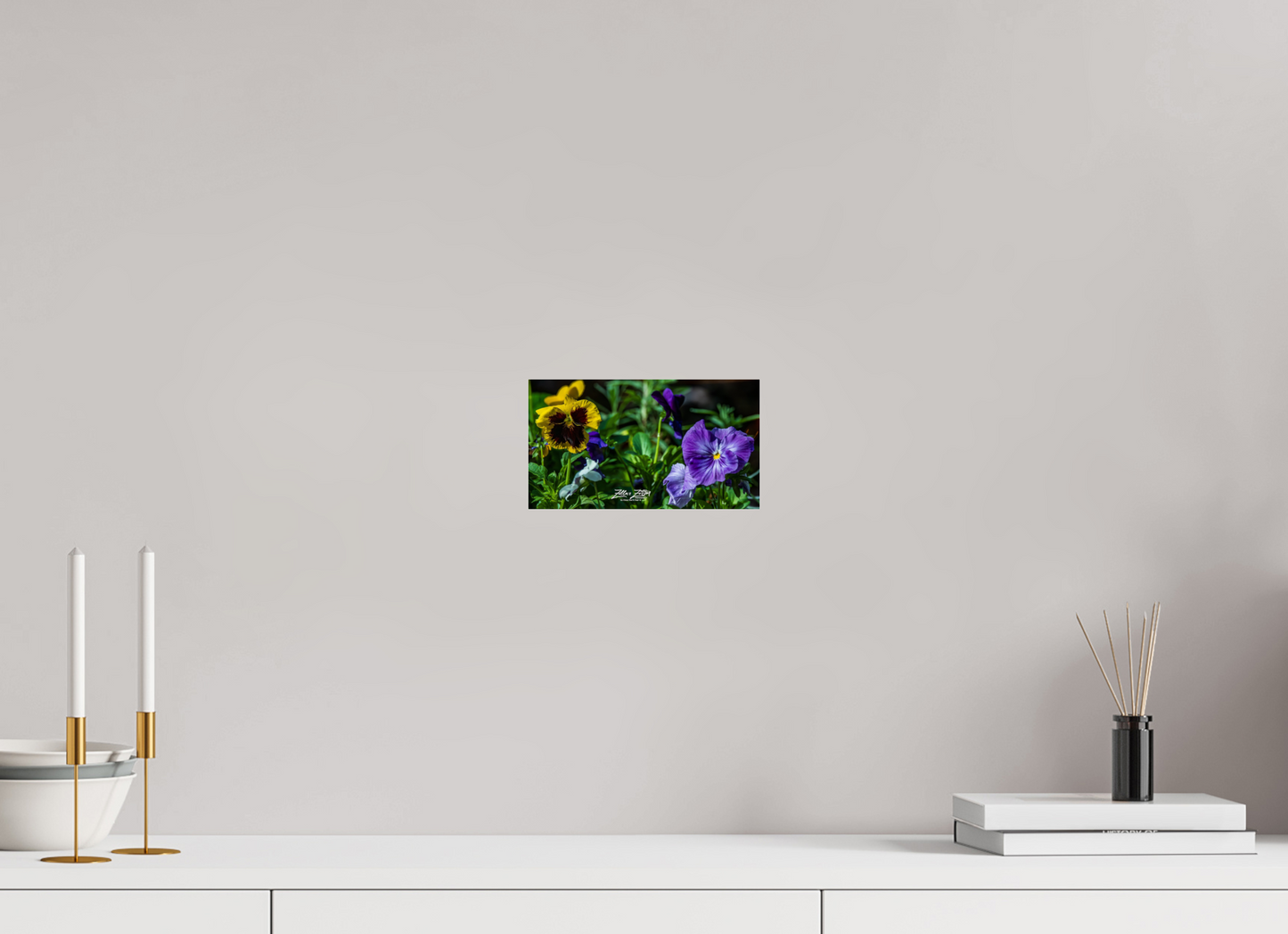 8 x 4.5″, Photo Print Under Acrylic Glass Zillas Zoom Image 91