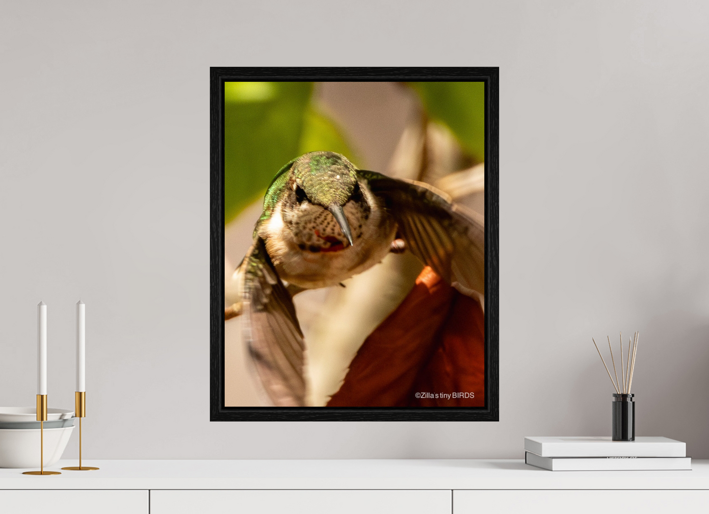 16 x 20″, Floater Frame Zillas Zoom Image 504