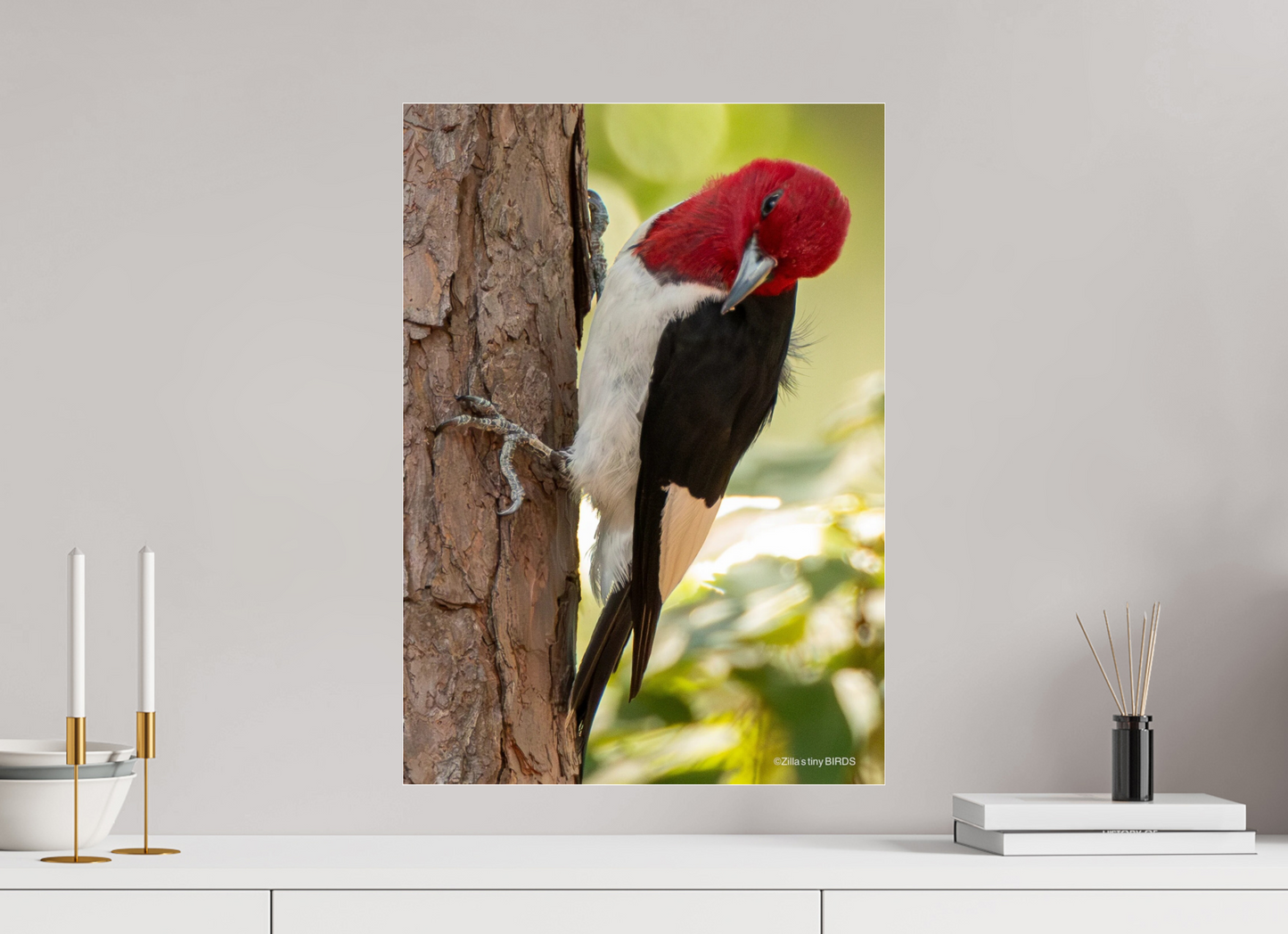 ISO A2 (42 x 59,4 cm), Photo Print Under Acrylic Glass Zillas Zoom Image 516