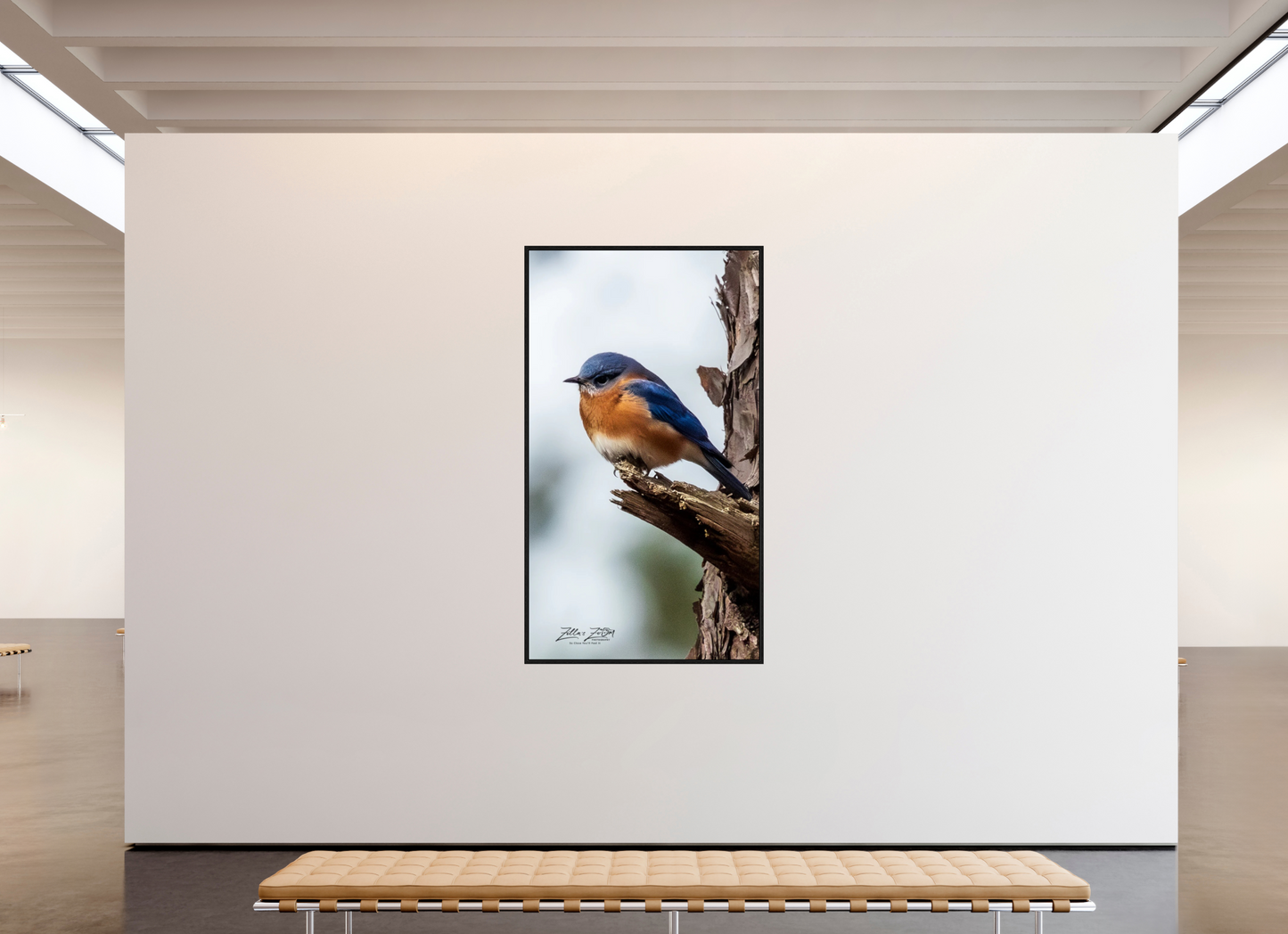 45 x 80″, Floater Frame Zillas Zoom Image 458