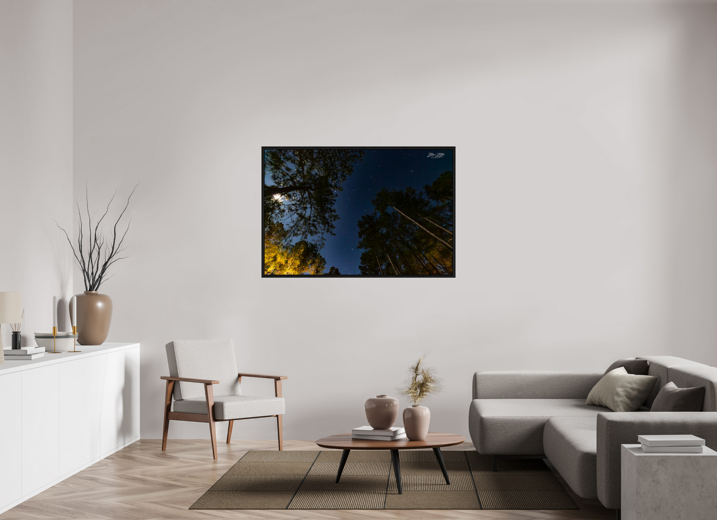 54 x 36″, Floater Frame Zillas zoom image 119