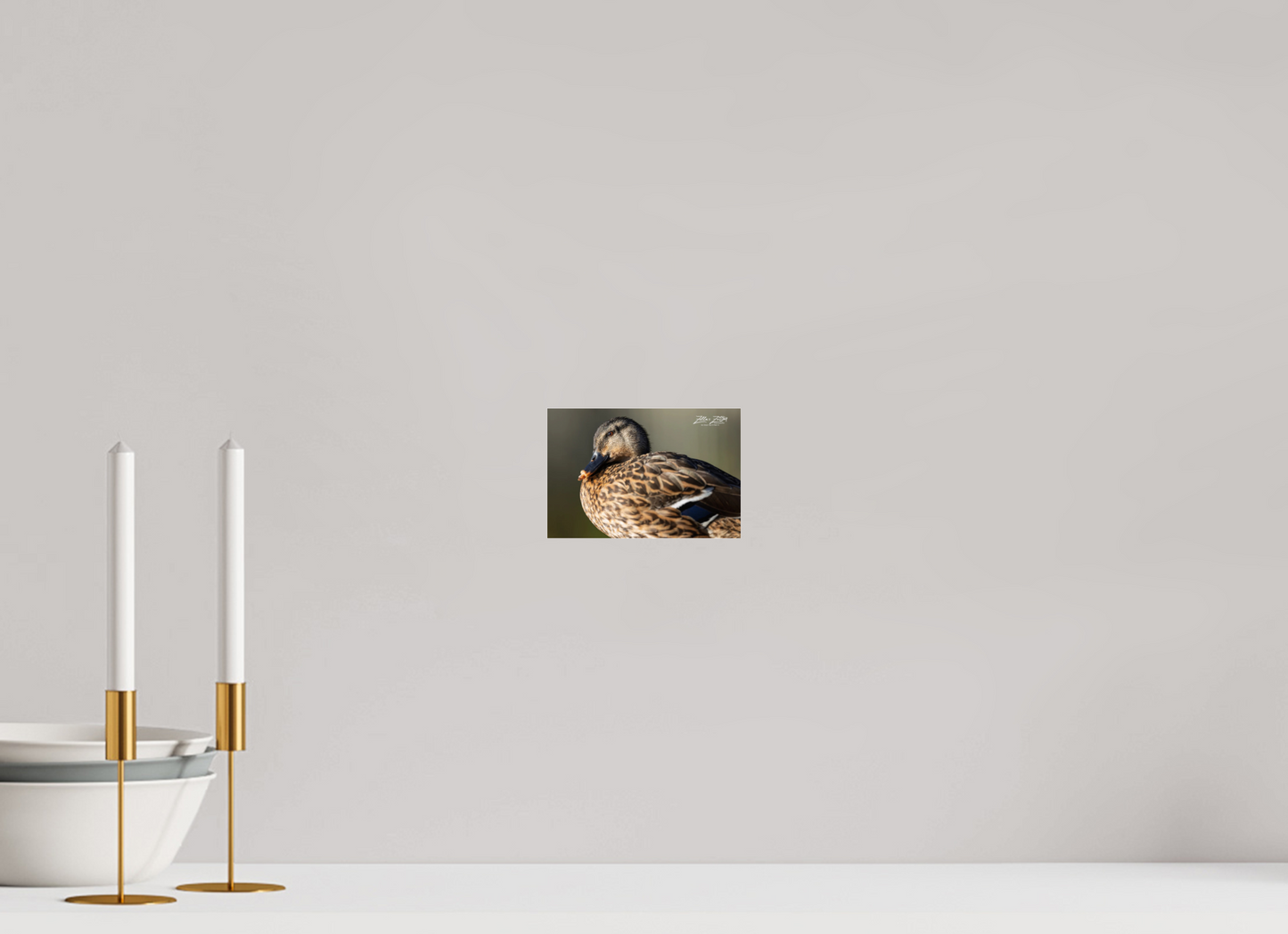 6 x 4″, Photo Print Under Acrylic Glass Zillas Zoom Image 300