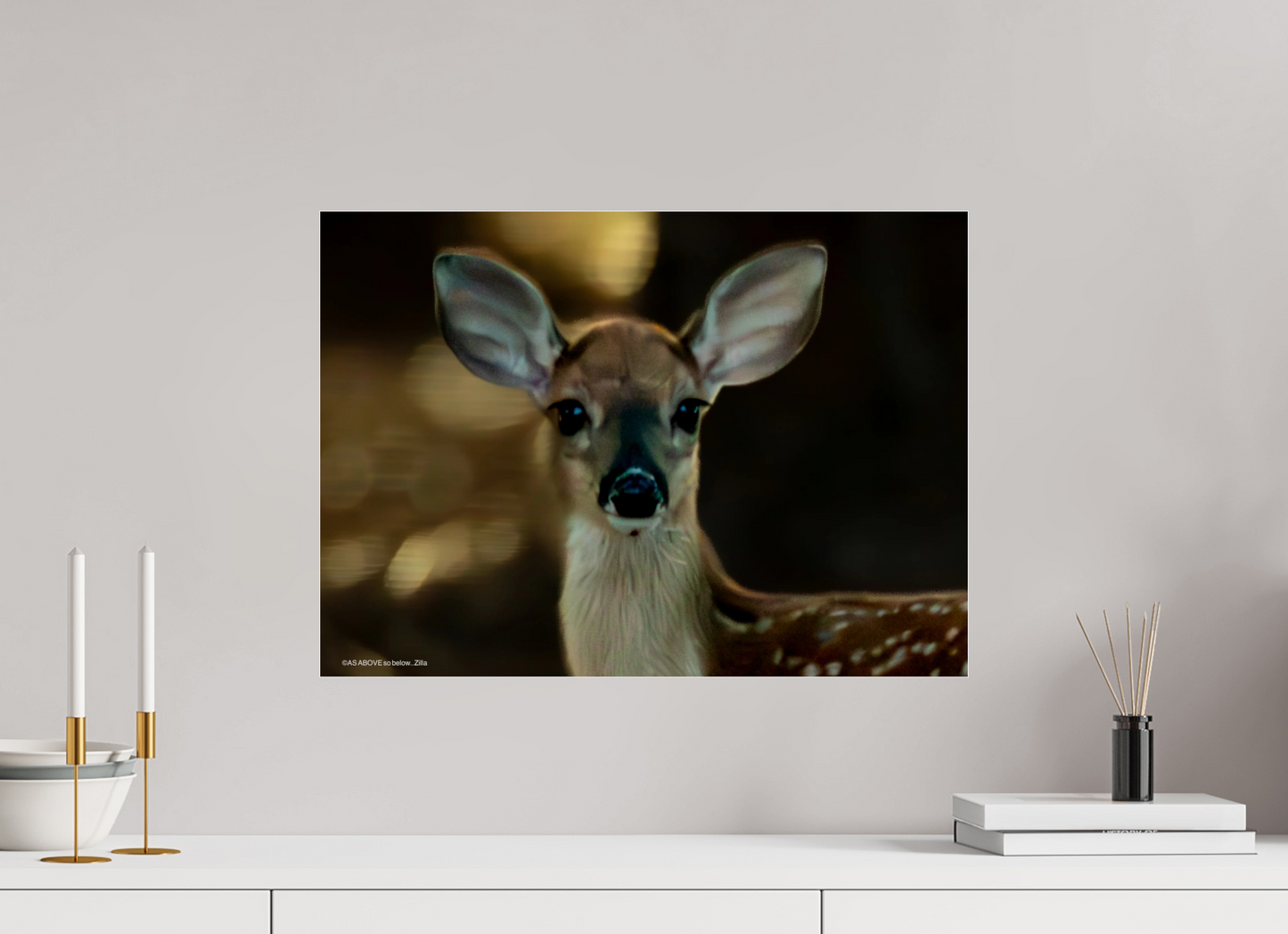 22.2 x 16″, Photo Print Under Acrylic Glass Zillas zoom image 135