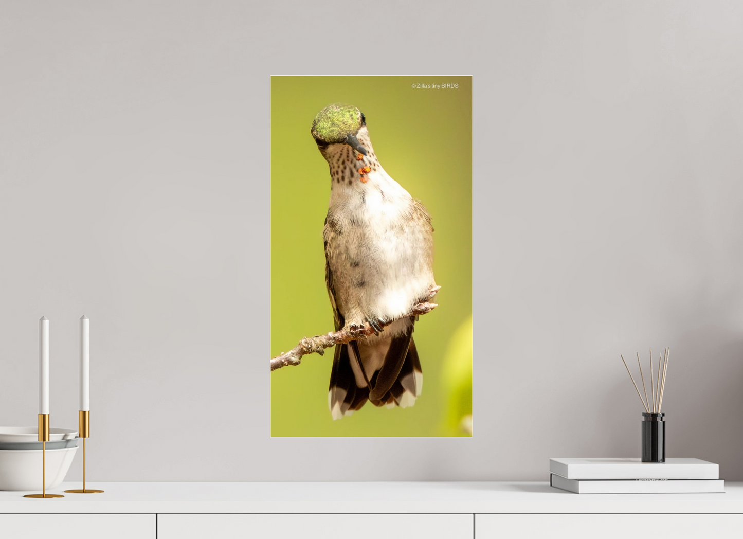 12 x 21.5″, Photo Print Under Acrylic Glass Zillas Zoom Image 444