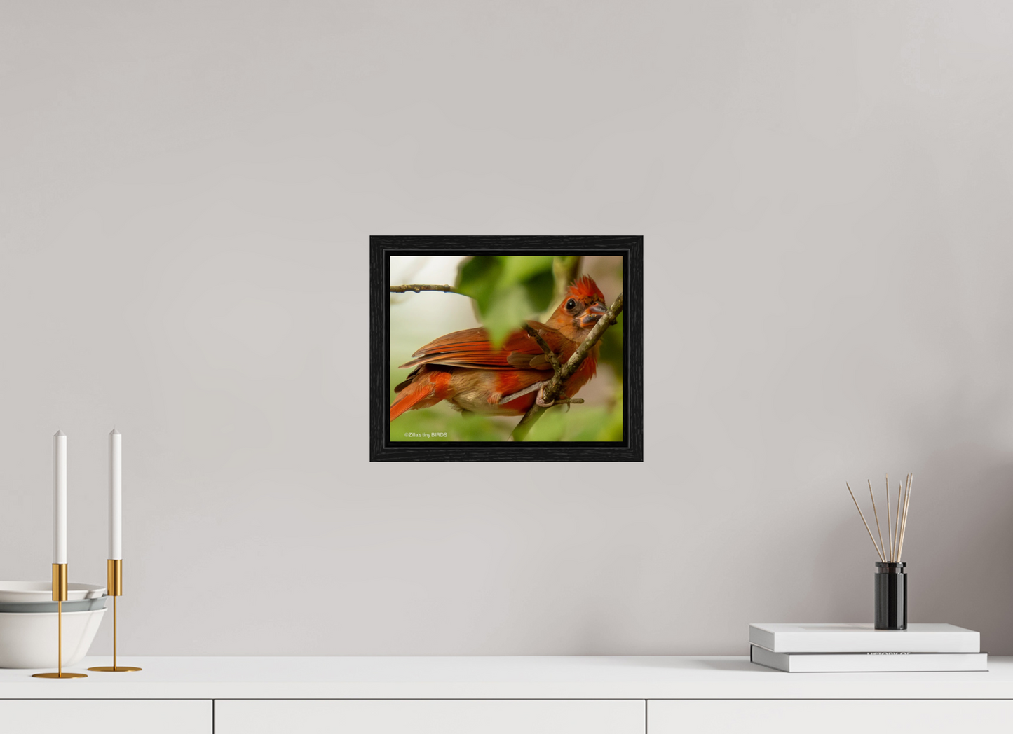 10 x 8″, Floater Frame Zillas Zoom Image 317