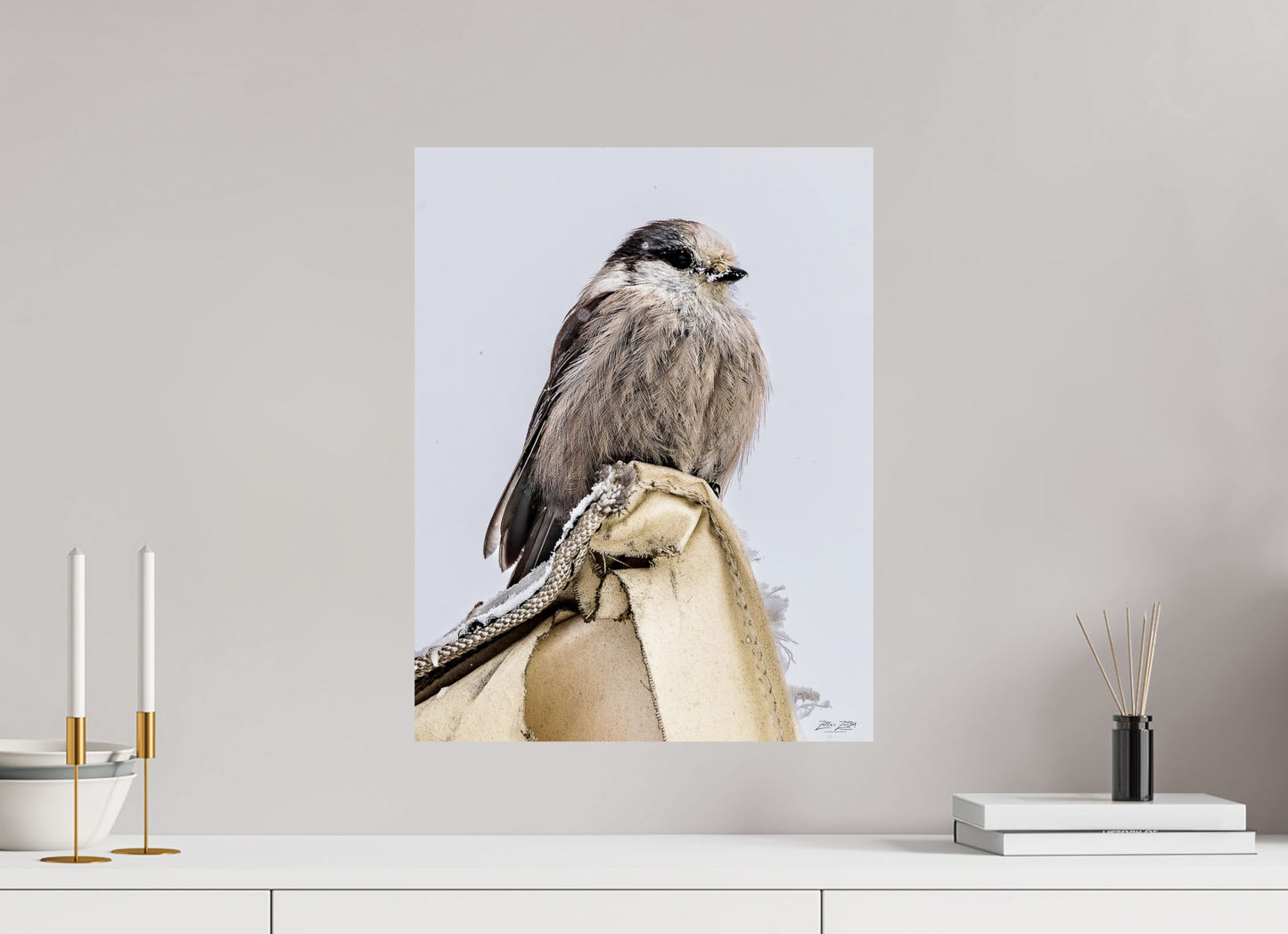 16 x 20.7″, Photo Print On Fuji Crystal DP II Zillas Zoom Image 462