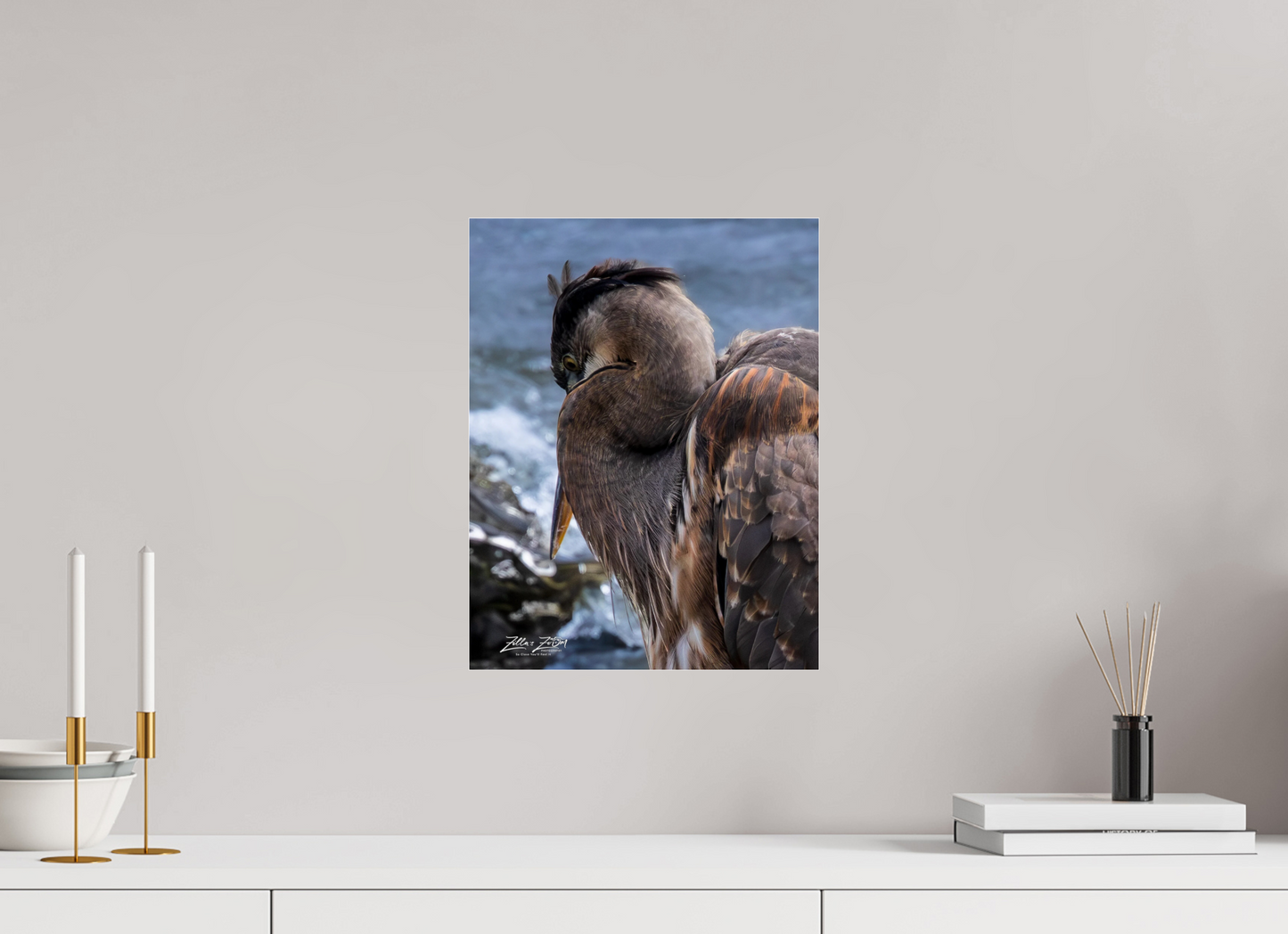 12 x 15.5″, Photo Print Under Acrylic Glass Zillas Zoom Image 431