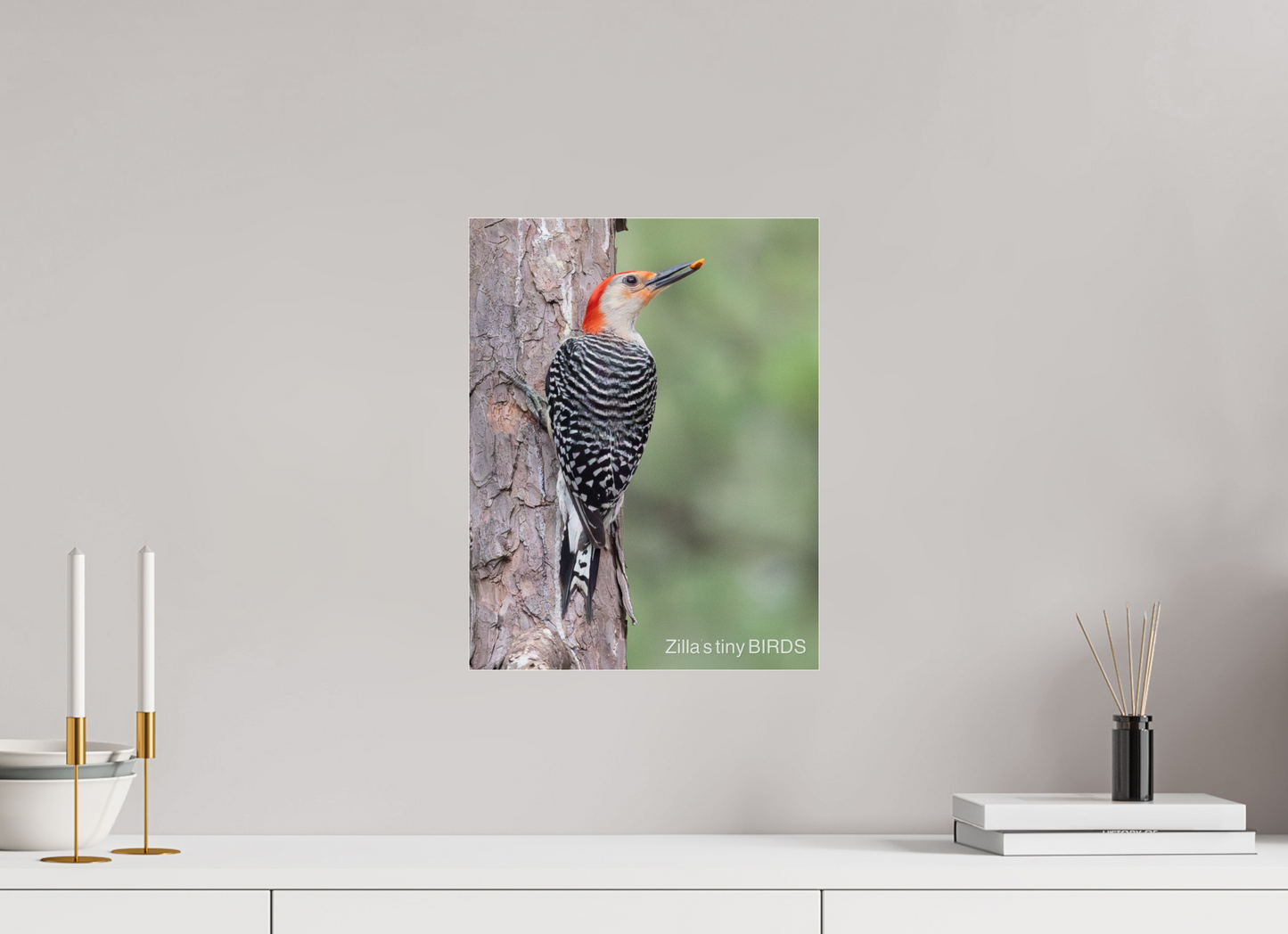 12 x 15.5″, Photo Print Under Acrylic Glass Zillas Zoom Image 510