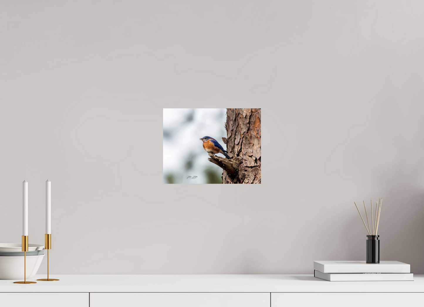 10.4 x 8″, Photo Print On Fuji Crystal DP II Zillas Zoom Image 349