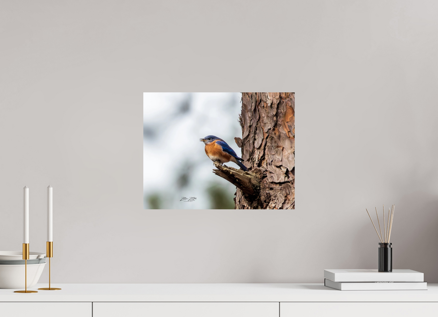 15.5 x 12″, Photo Print On Fuji Crystal DP II Zillas Zoom Image 349