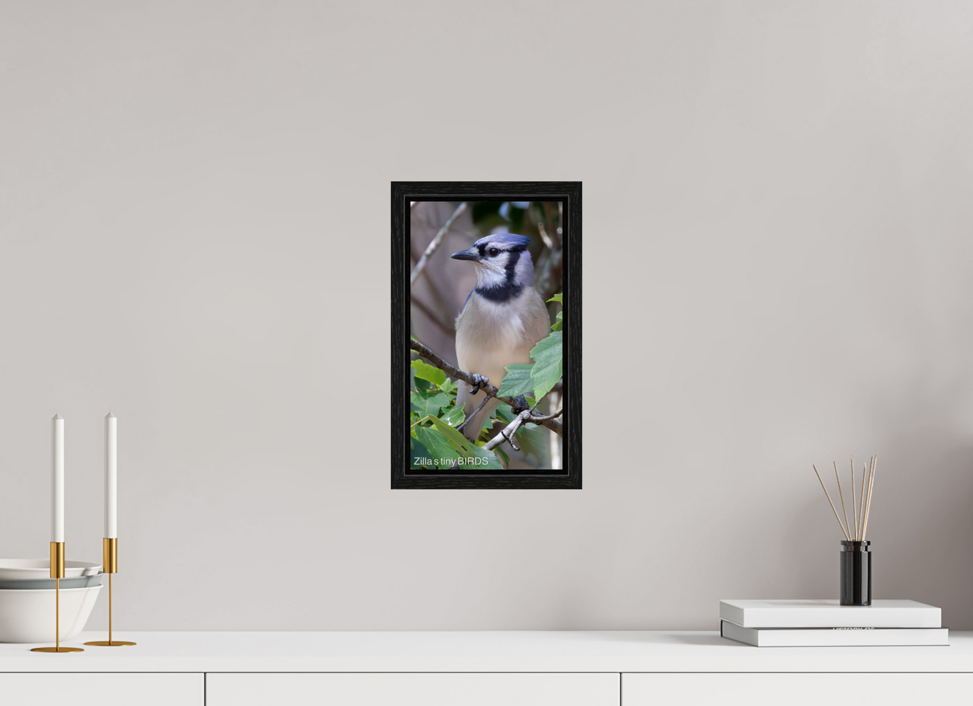 6.8 x 12″, Floater Frame Zillas Zoom Image 483