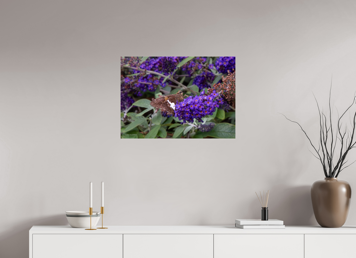 28 x 20″, Photo Print Under Acrylic Glass Zillas Zoom Image 60