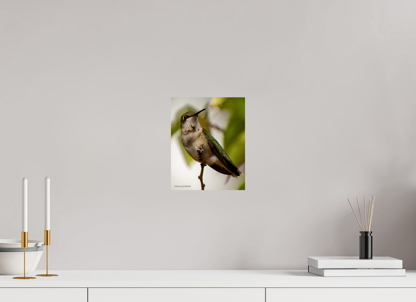 8 x 10″, Photo Print On Fuji Crystal DP II Zillas Zoom Image 468