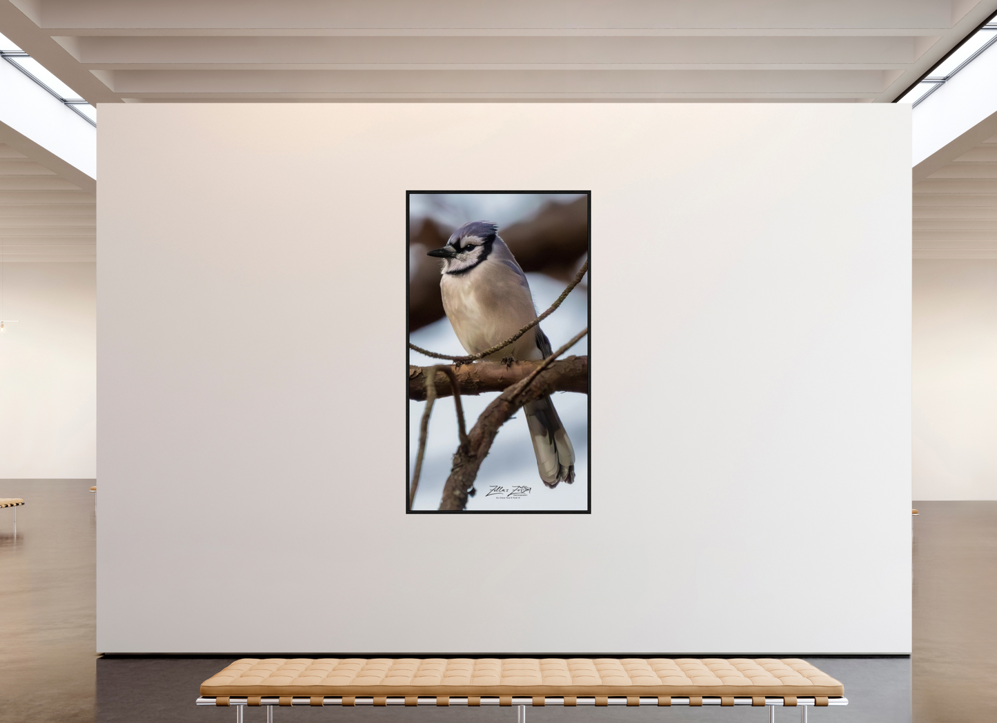 45 x 80″, Floater Frame Zillas Zoom Image 446