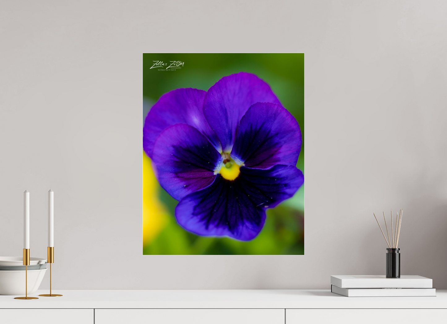 16 x 20″, Photo Print Under Acrylic Glass Zillas Zoom Image 117