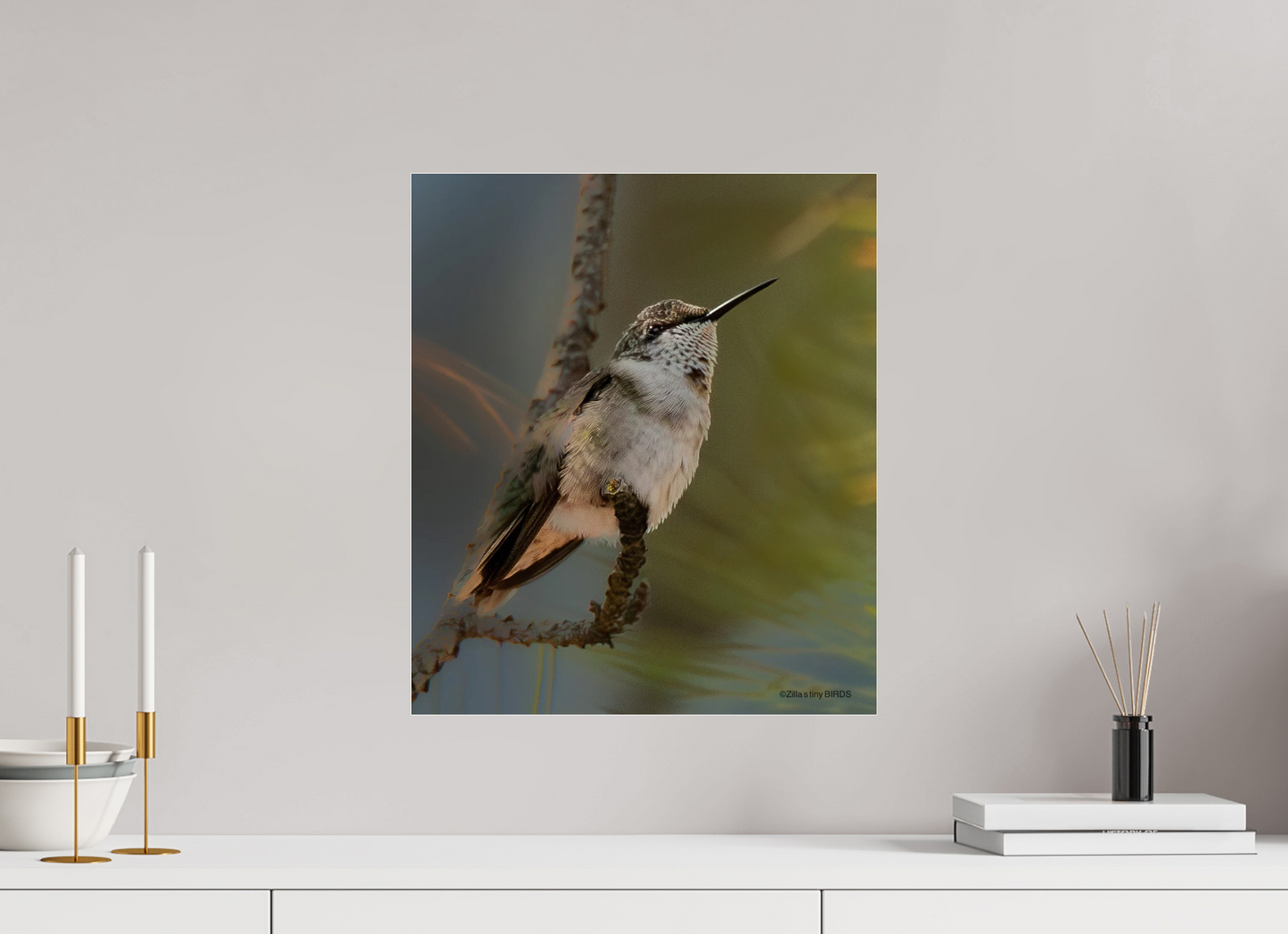 16 x 18.6″, Photo Print Under Acrylic Glass Zillas Zoom Image 499