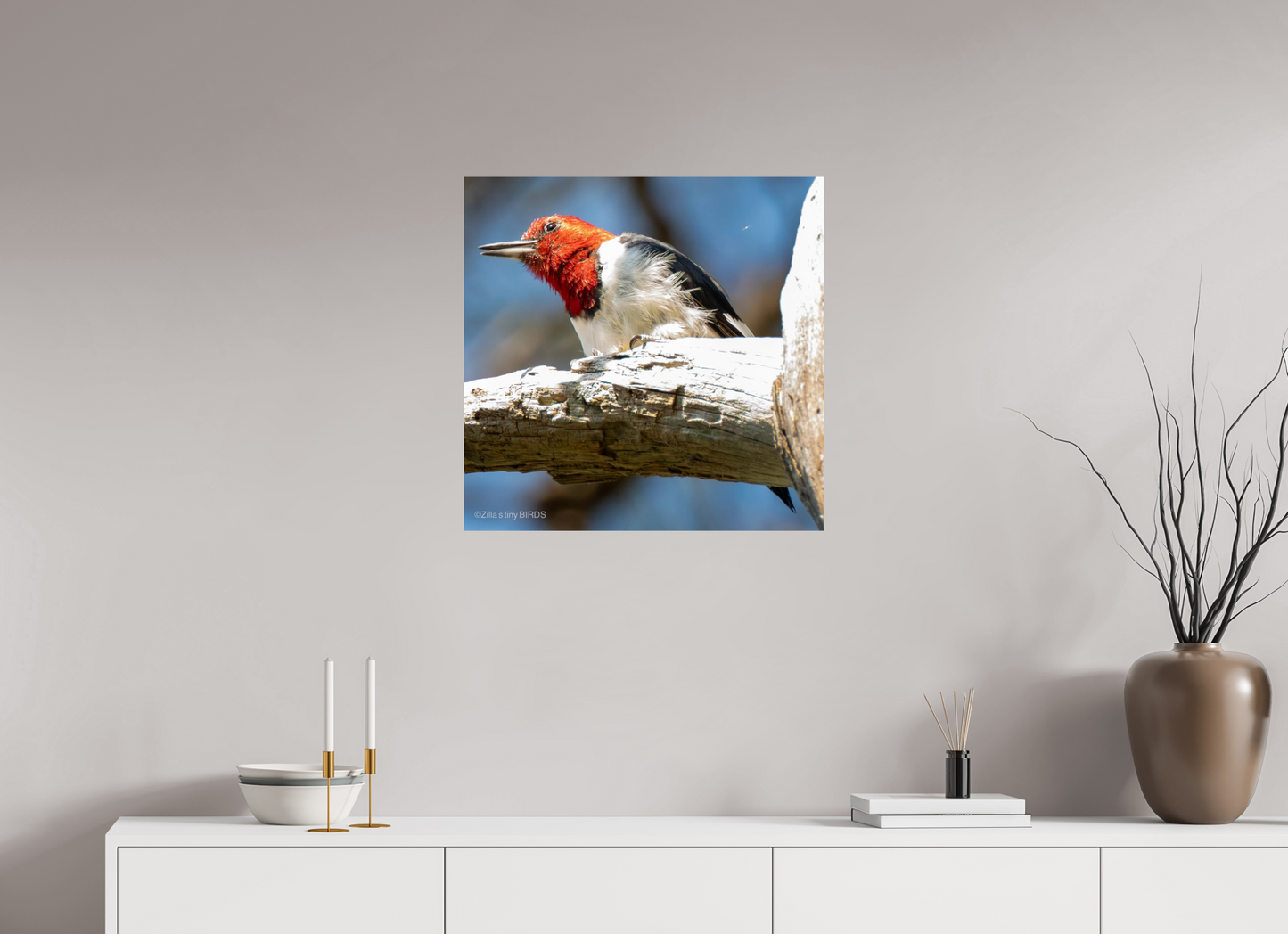 24.4 x 24″, Photo Print On Fuji Crystal DP II Zillas Zoom Image 273