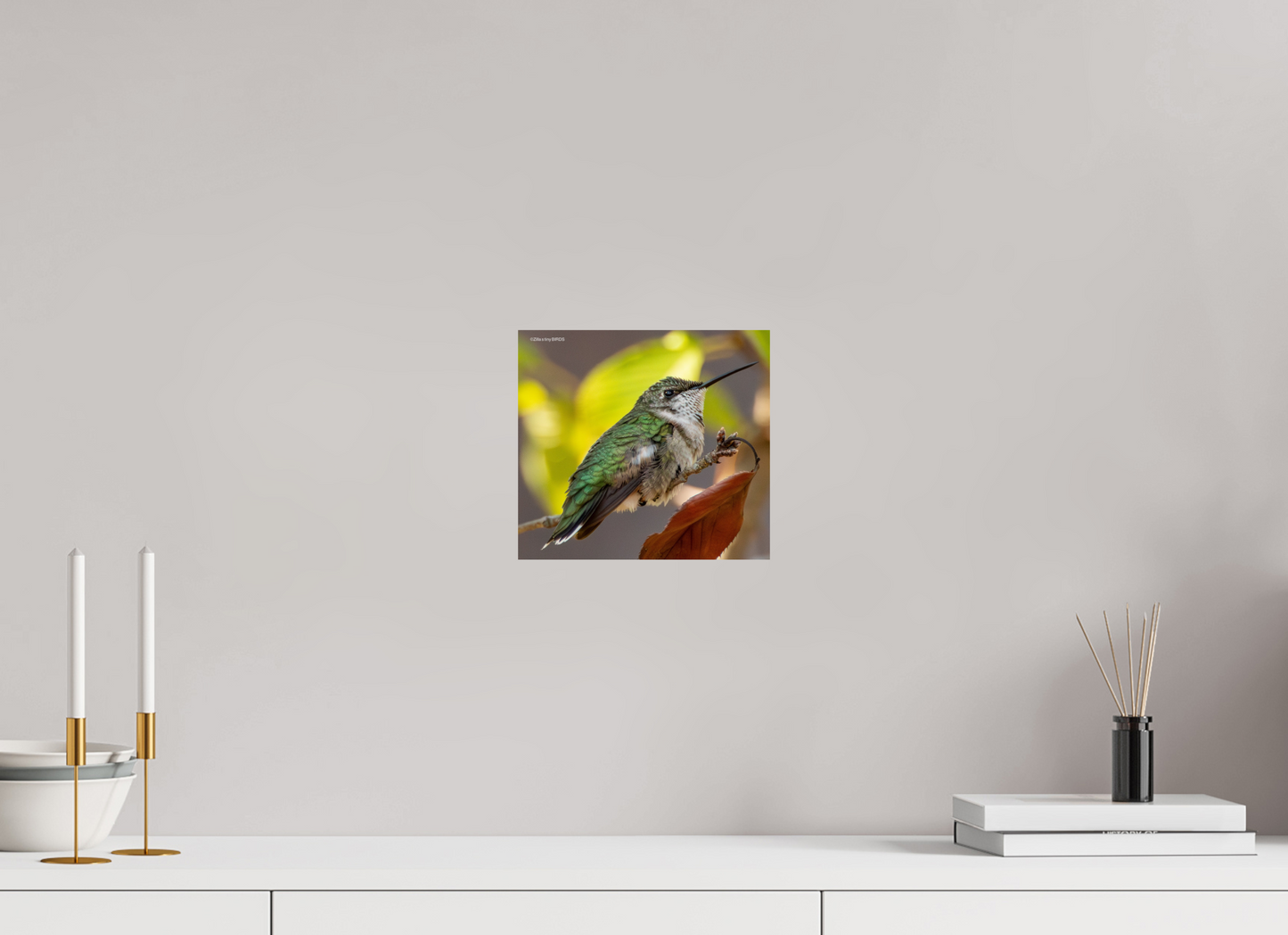 8.8 x 8″, Photo Print On Fuji Crystal DP II Zillas Zoom Image 347