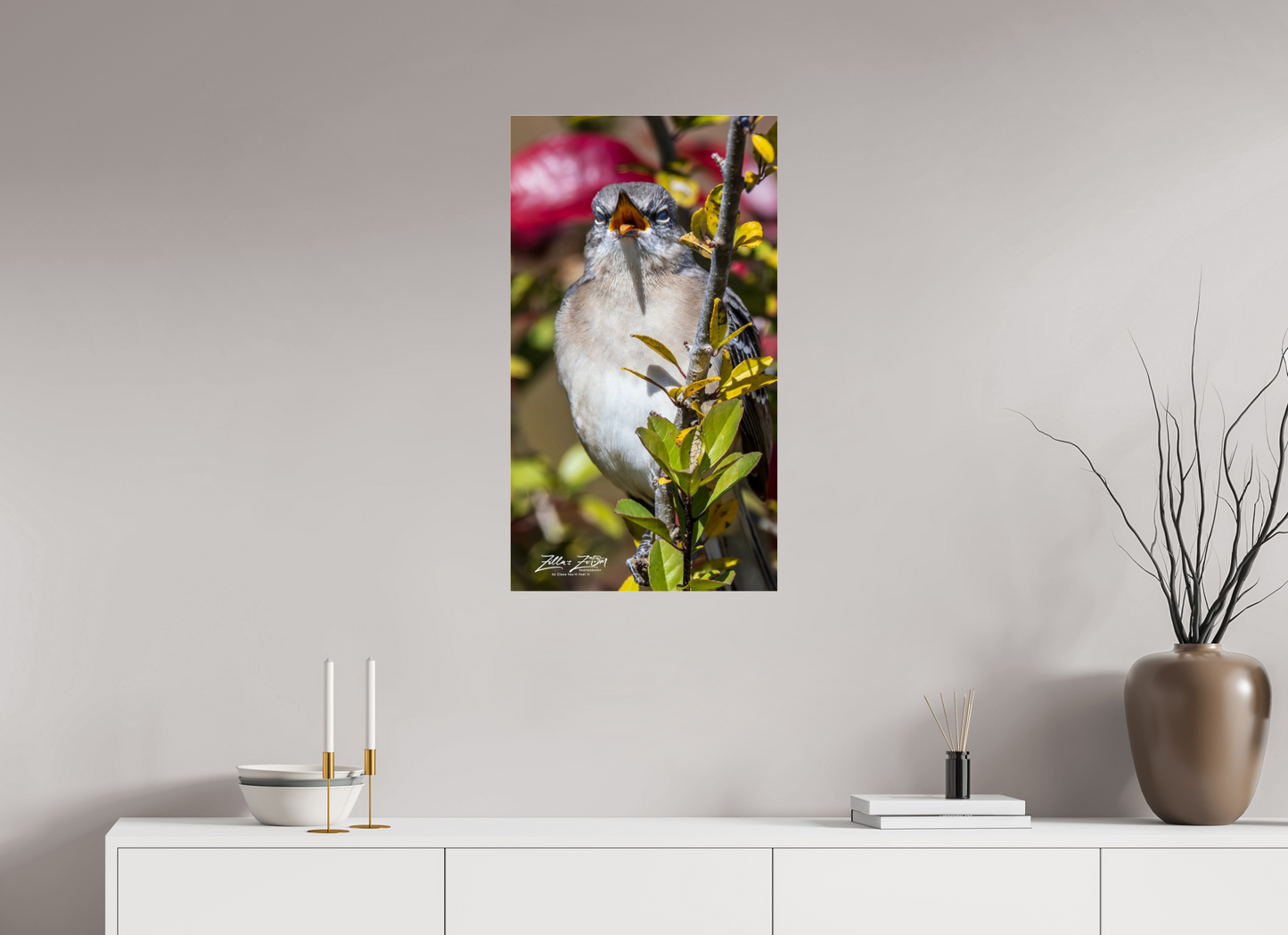 18 x 32″, Photo Print Under Acrylic Glass Zillas Zoom Image 405