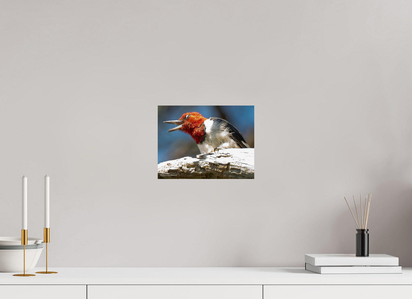 10.5 x 8″, Photo Print On Fuji Crystal DP II Zillas Zoom Image 269