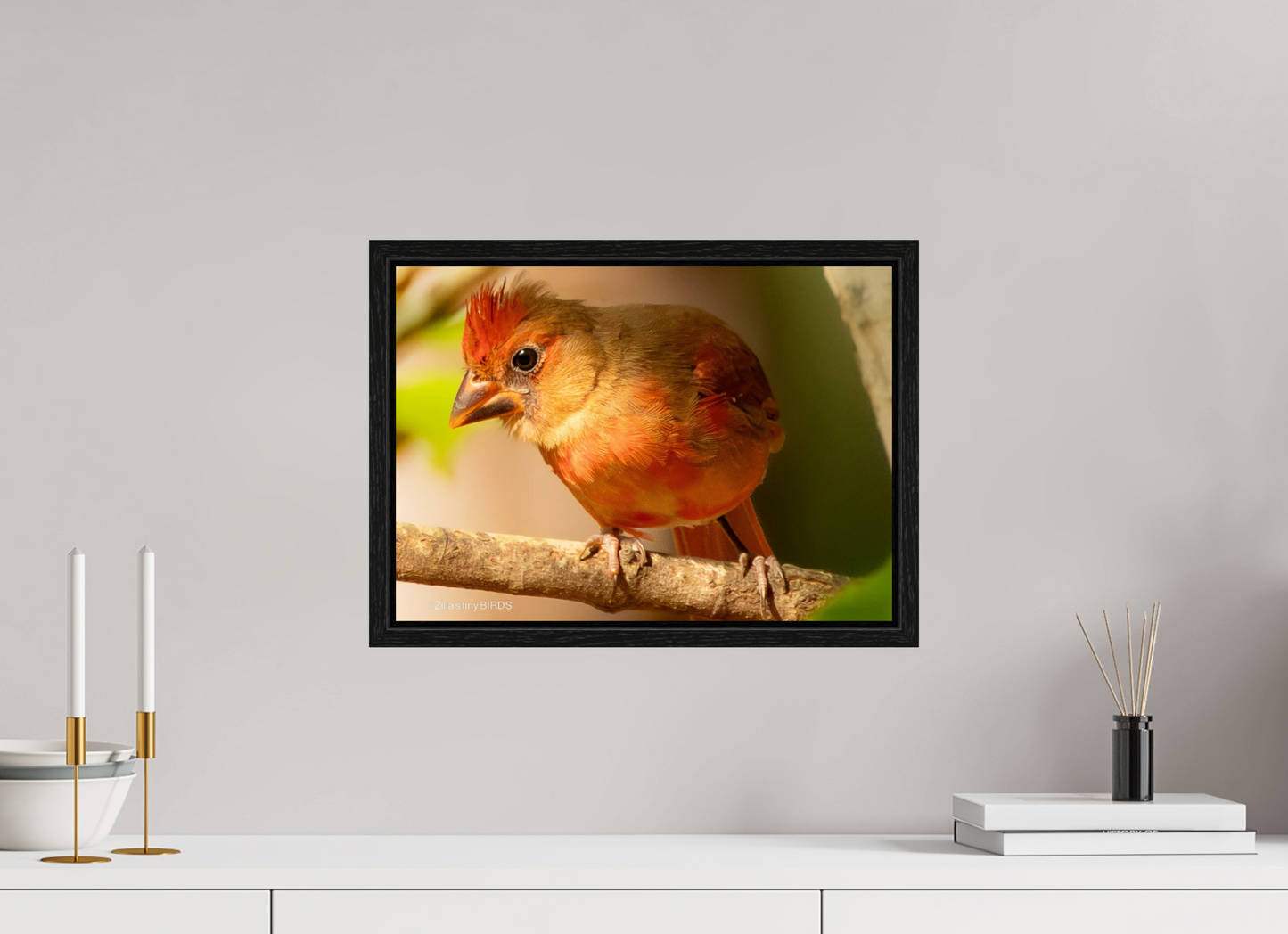 16.8 x 12″, Floater Frame Zillas Zoom Image 316