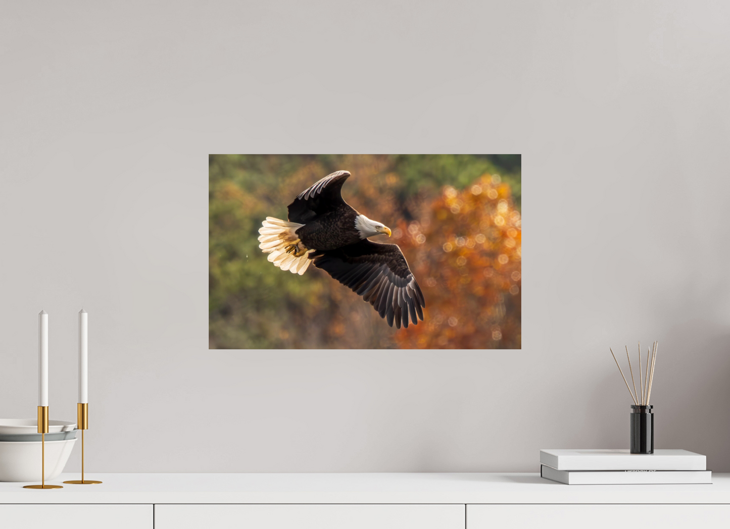 19.2 x 12″, Photo Print On Fuji Crystal DP II Zillas Zoom Image 396