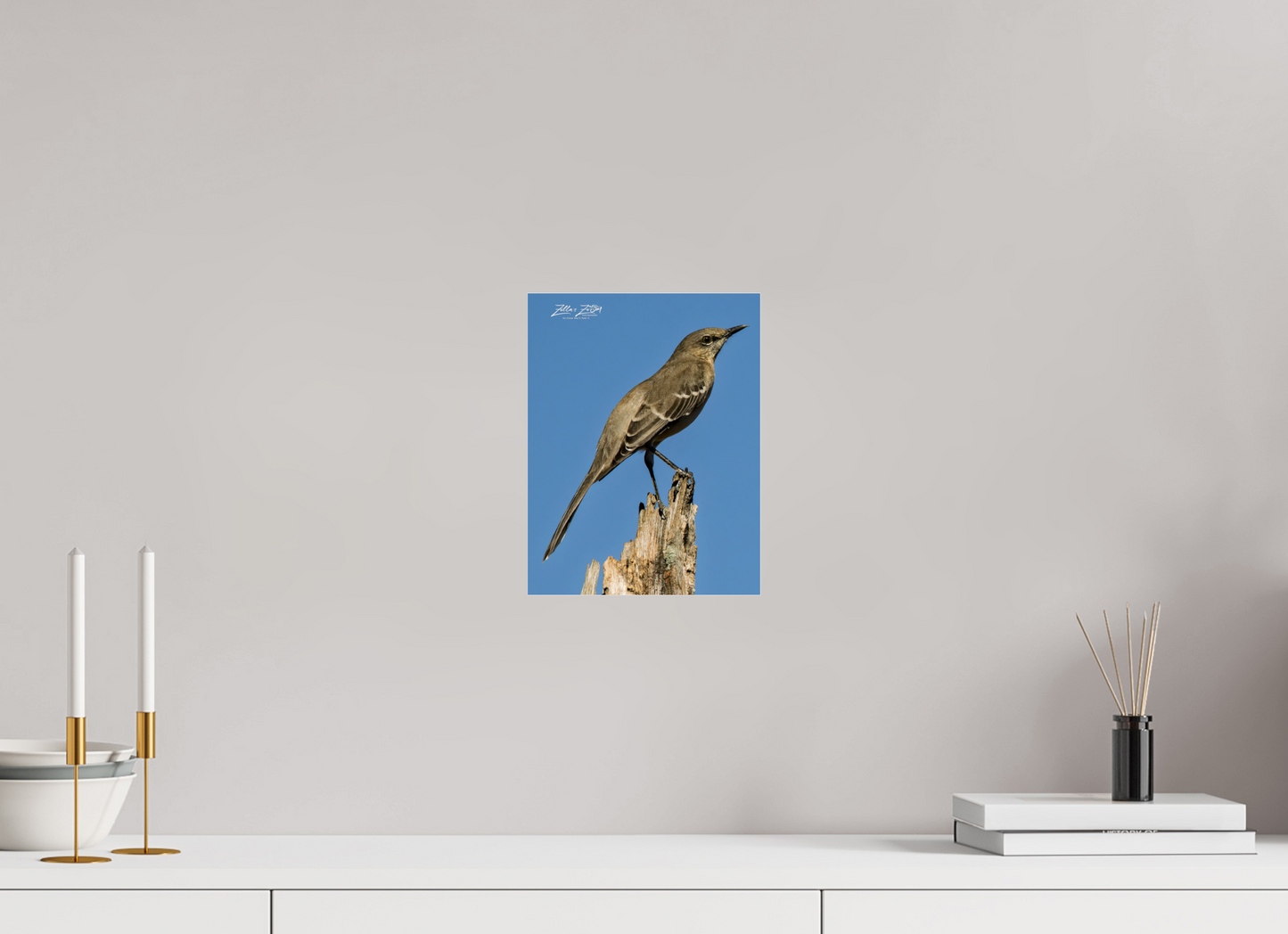 8 x 10.4″, Photo Print Under Acrylic Glass Zillas Zoom Image 404