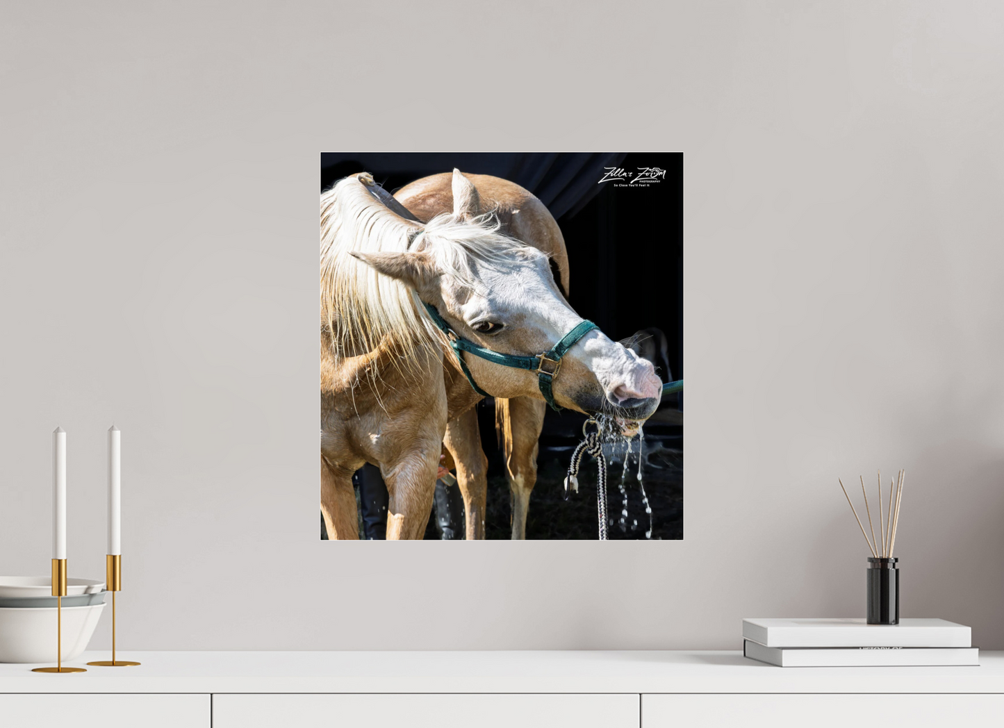 16 x 17.1″, Photo Print Under Acrylic Glass Zillas zoom image 148