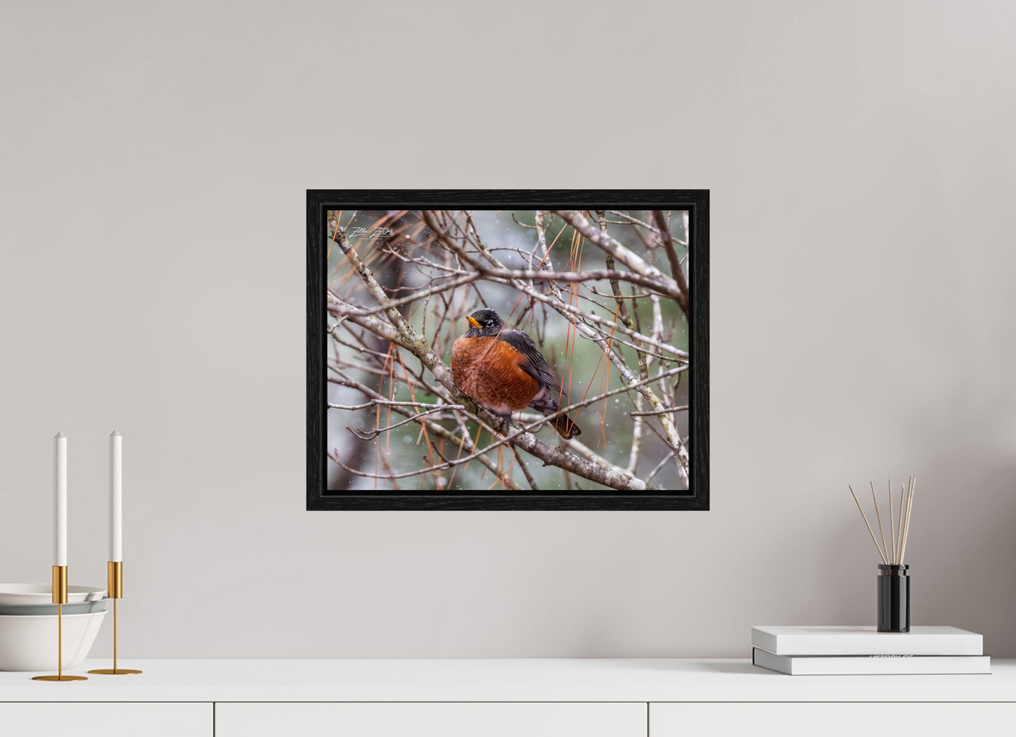 15.5 x 12″, Floater Frame Zillas Zoom Image 337