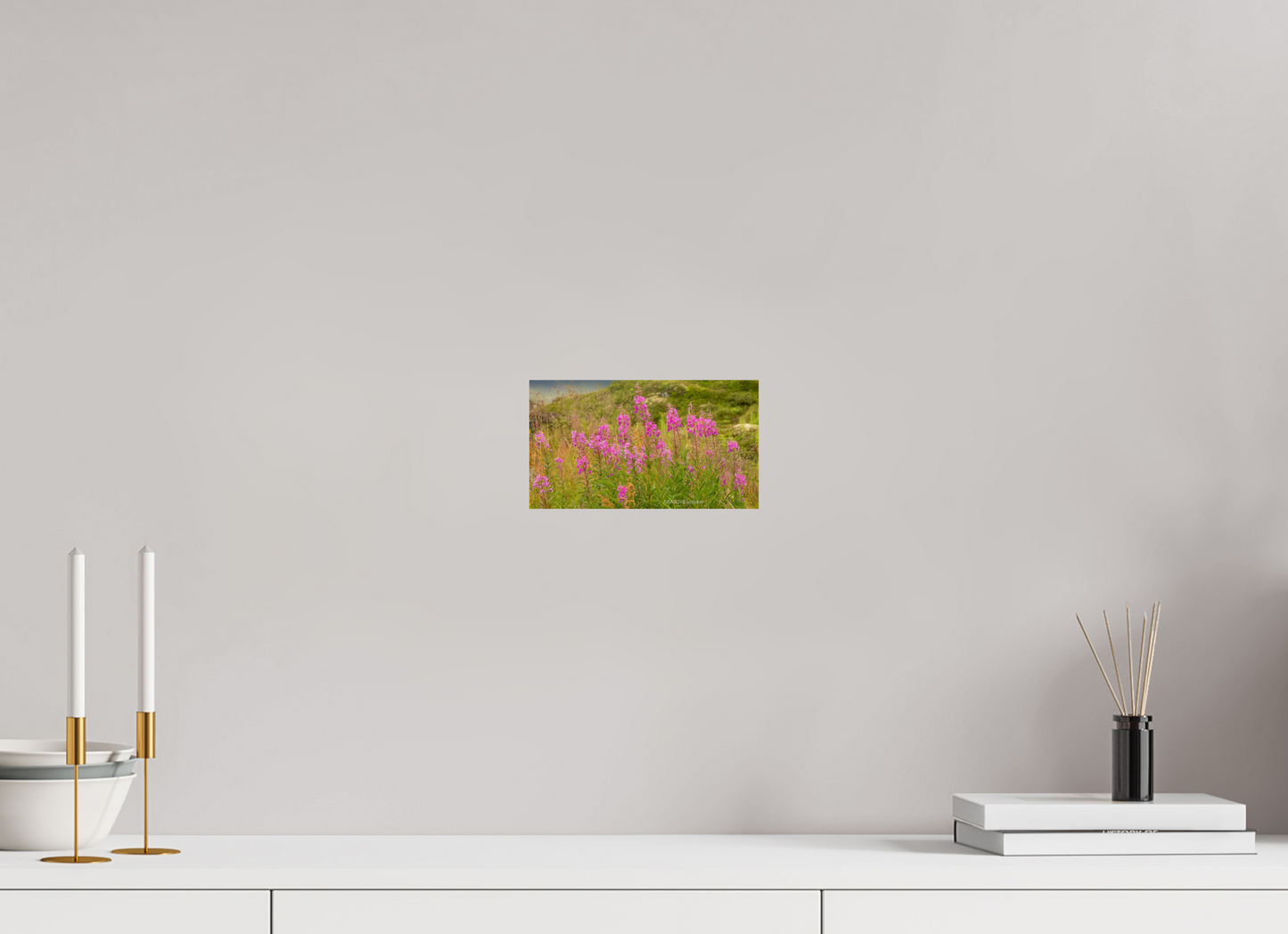 8 x 4.5″, Photo Print On Fuji Crystal DP II Zillas Zoom Image 97