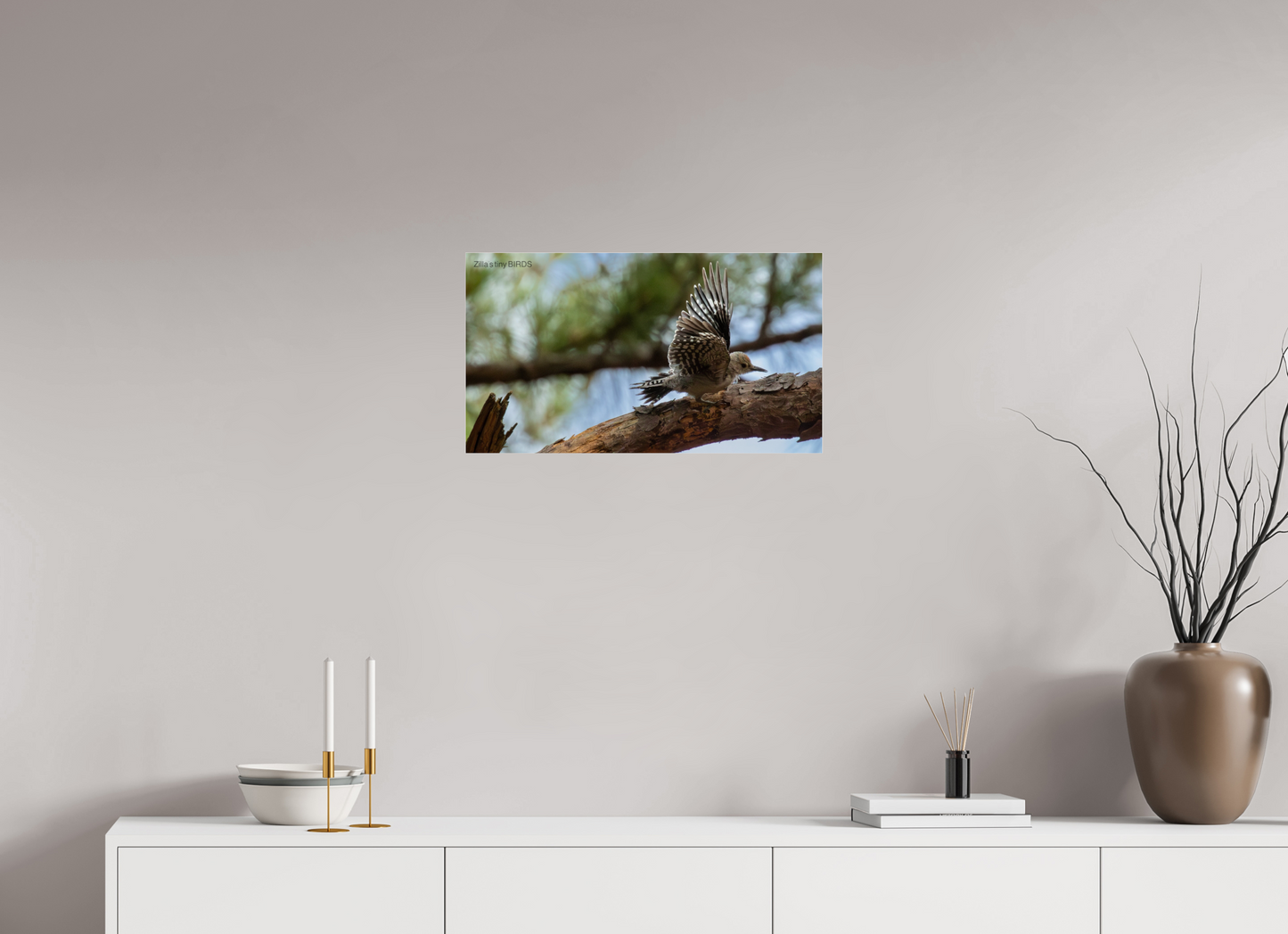 24 x 13.5″, Photo Print Under Acrylic Glass Zillas Zoom Image 388