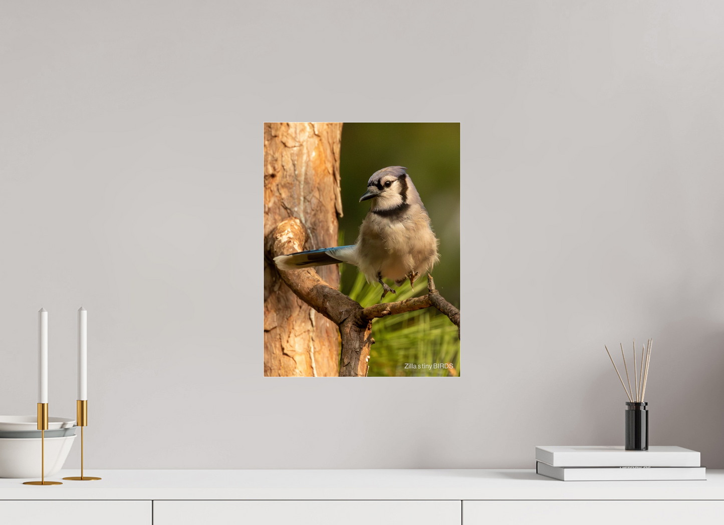 12 x 15.6″, Photo Print Under Acrylic Glass Zillas Zoom Image 520