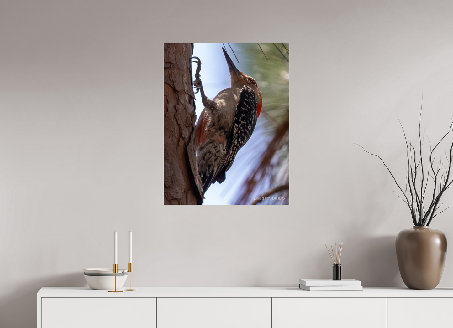 24 x 31.1″, Photo Print Under Acrylic Glass Zillas Zoom Image 474