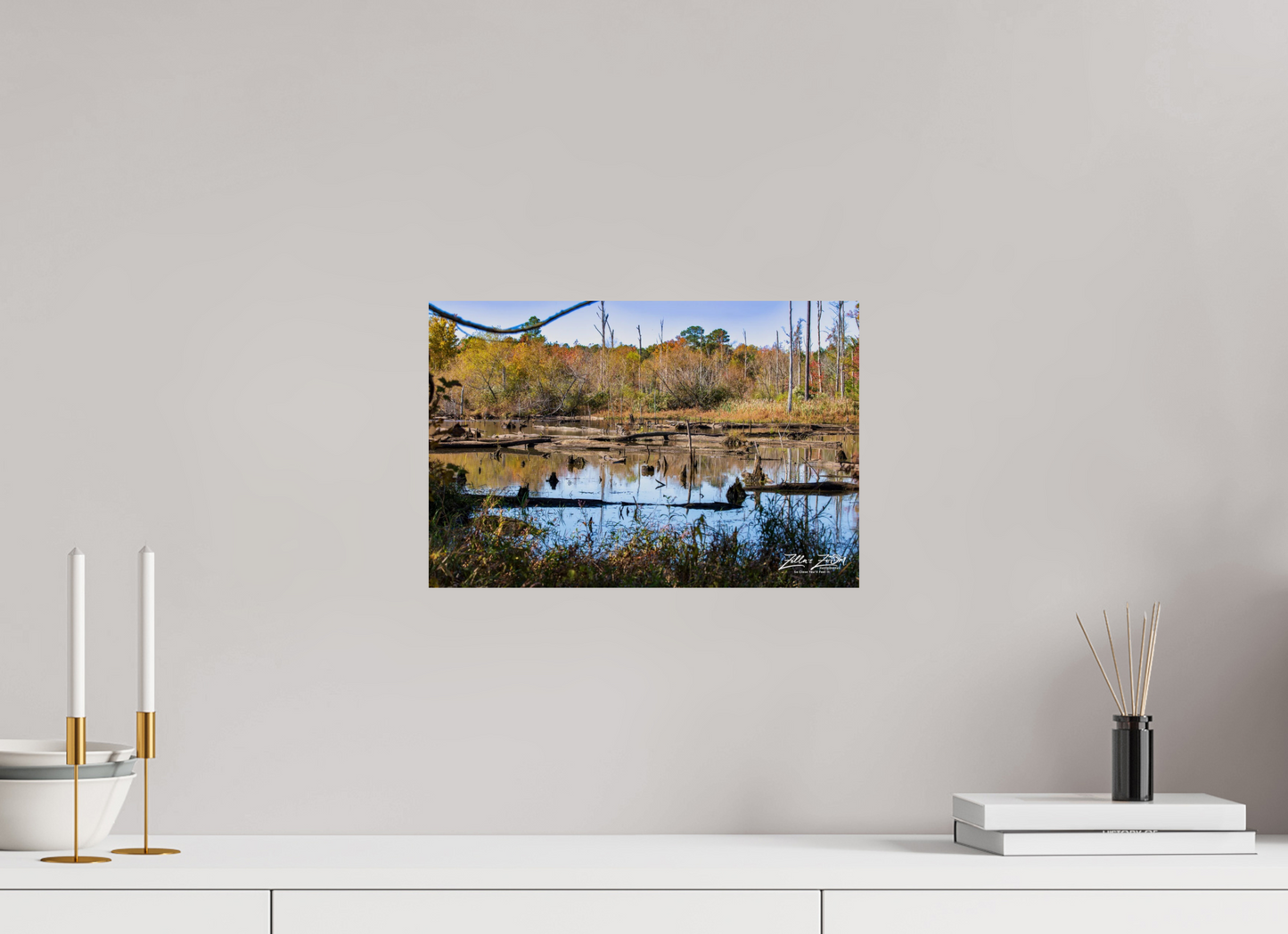 15 x 10″, Photo Print On Fuji Crystal DP II Zillas Zoom Image 205