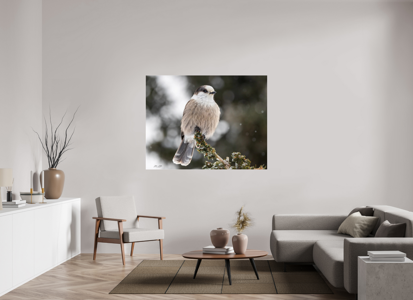 60.8 x 47″, Photo Print Under Acrylic Glass Zillas Zoom Image 353