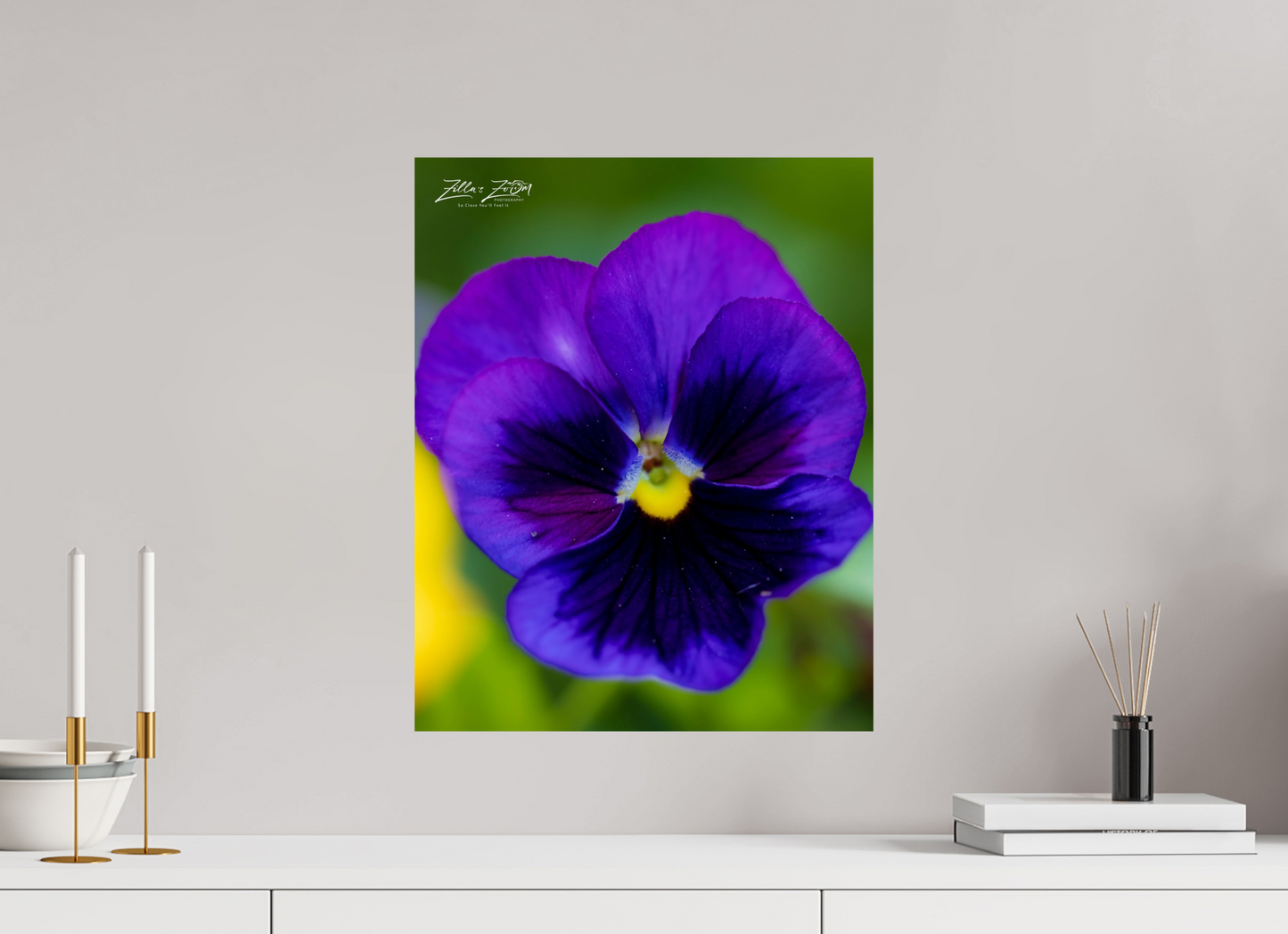 16 x 20″, Photo Print On Fuji Crystal DP II Zillas Zoom Image 117