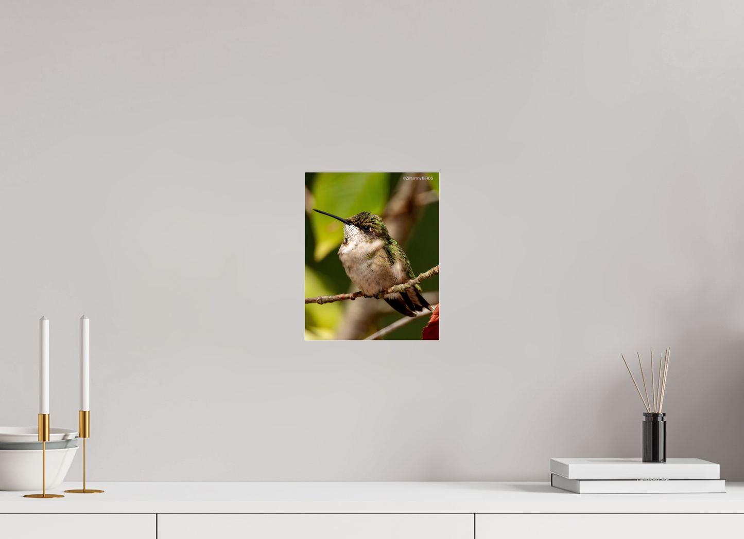 8 x 10″, Photo Print Under Acrylic Glass Zillas Zoom Image 515