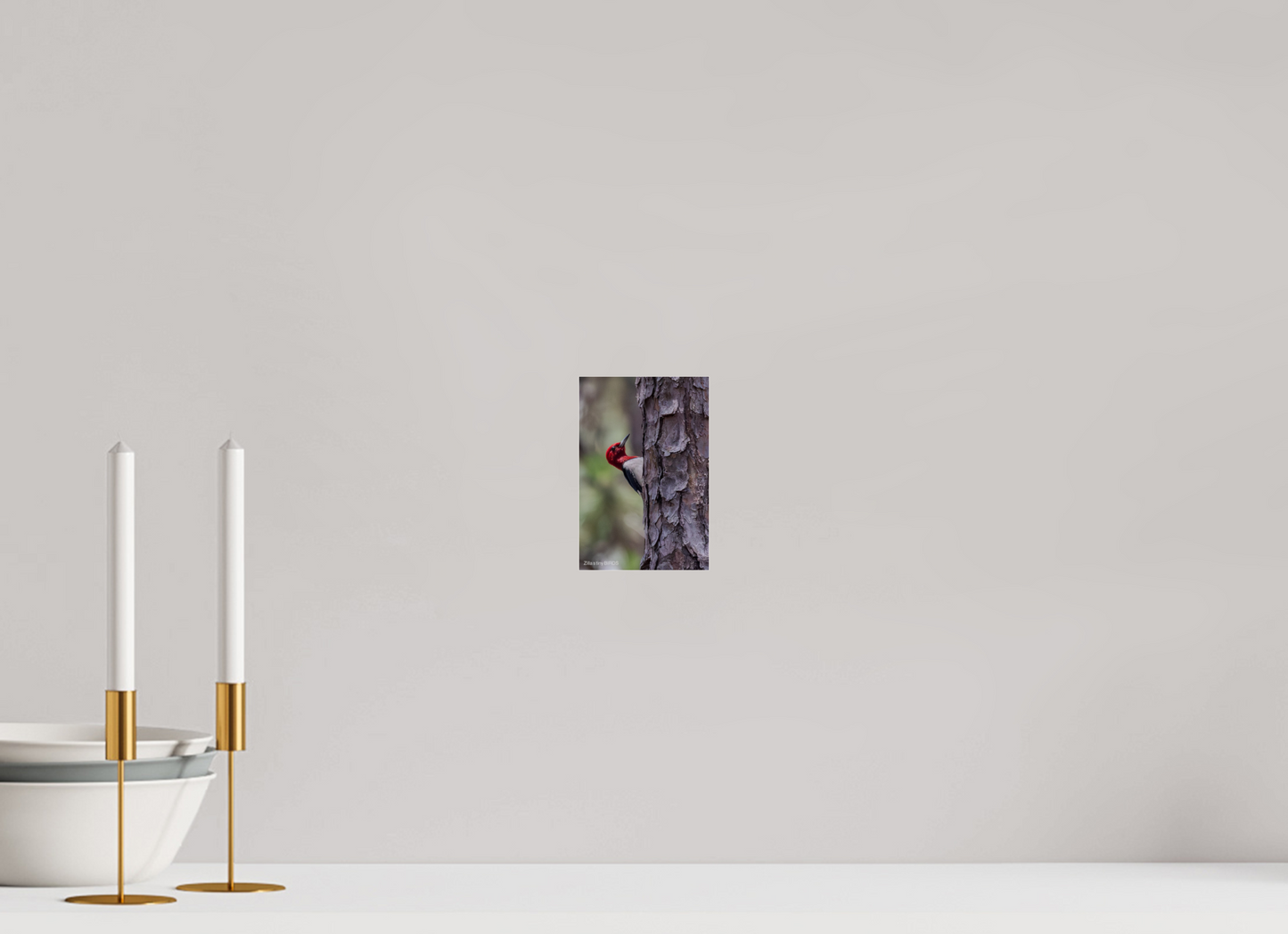 4 x 6″, Photo Print Under Acrylic Glass Zillas Zoom Image 506