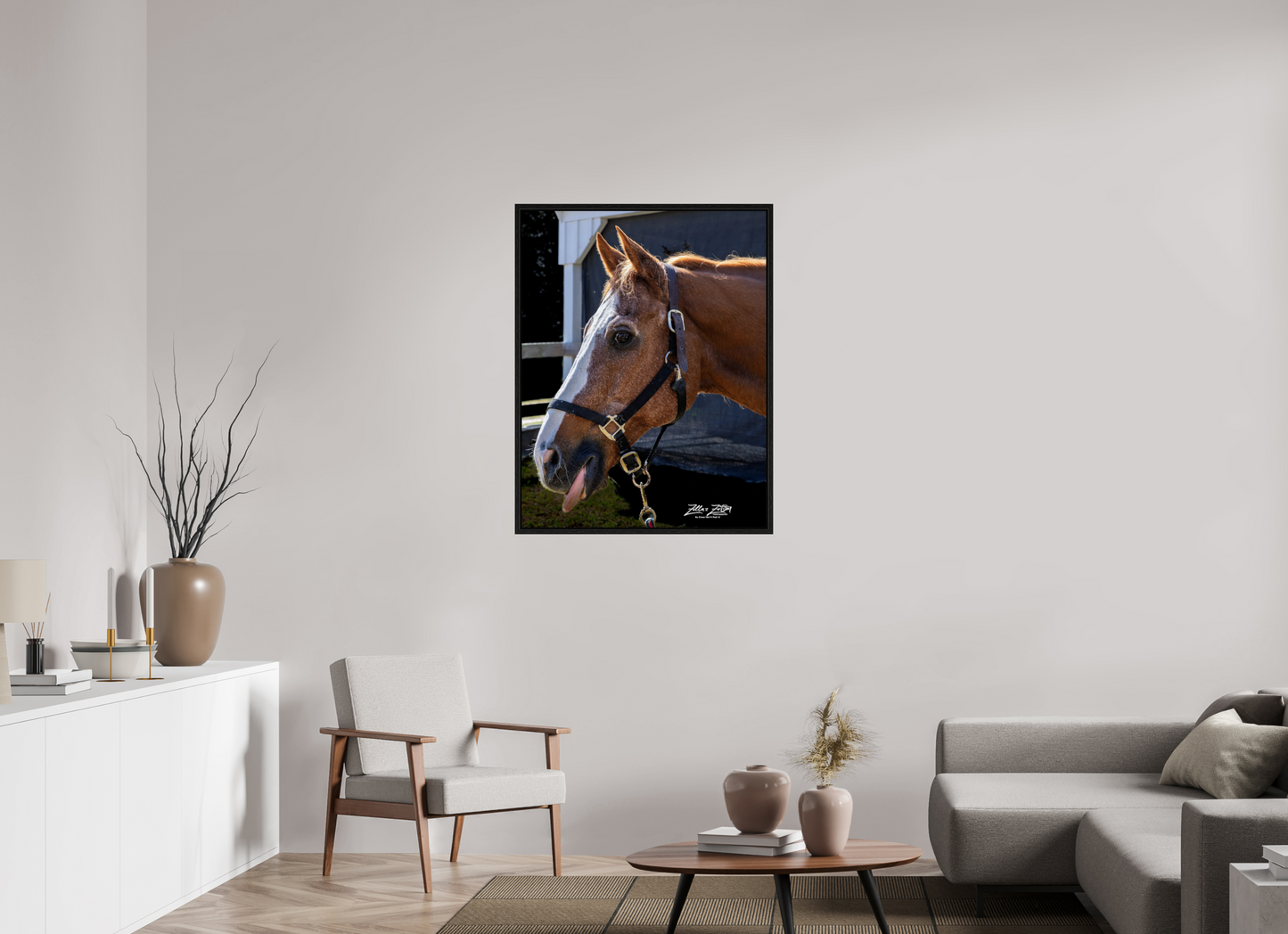 31 x 40.1″, Floater Frame Zillas zoom image 157