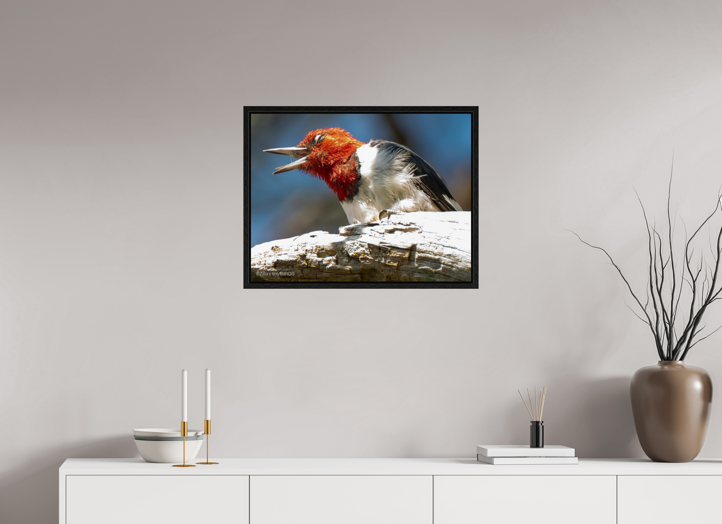 26.3 x 20″, Floater Frame Zillas Zoom Image 269
