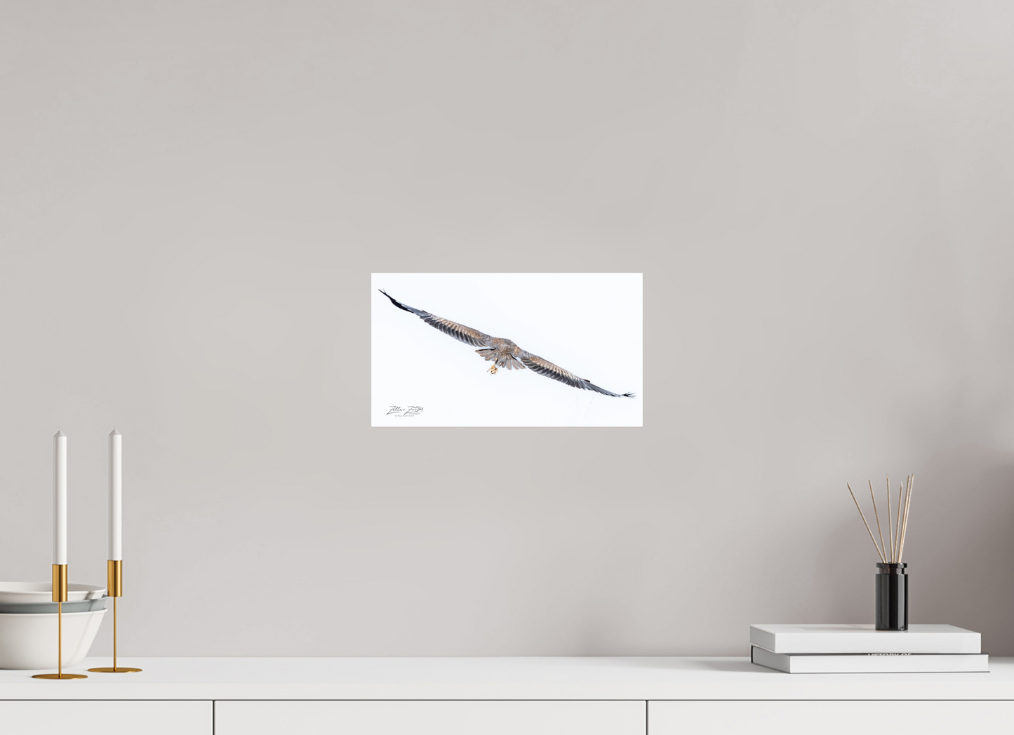 12 x 6.8″, Photo Print On Fuji Crystal DP II Zillas Zoom Image 275
