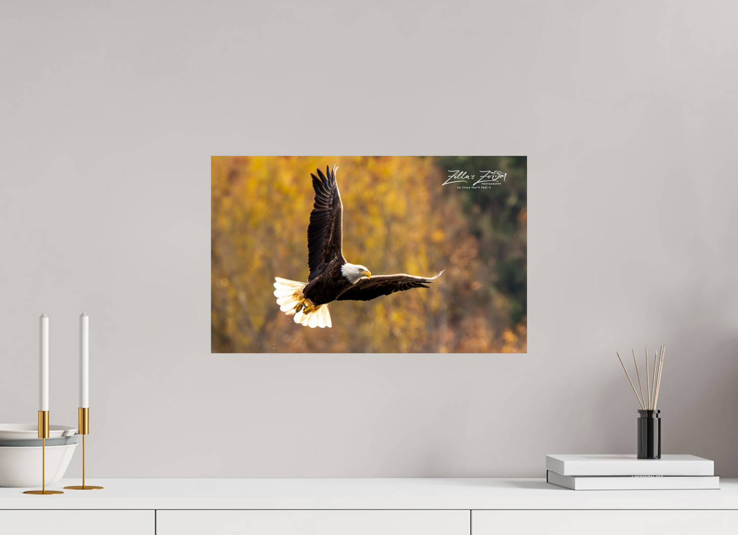 19.2 x 12″, Photo Print On Fuji Crystal DP II Zillas Zoom Image 272