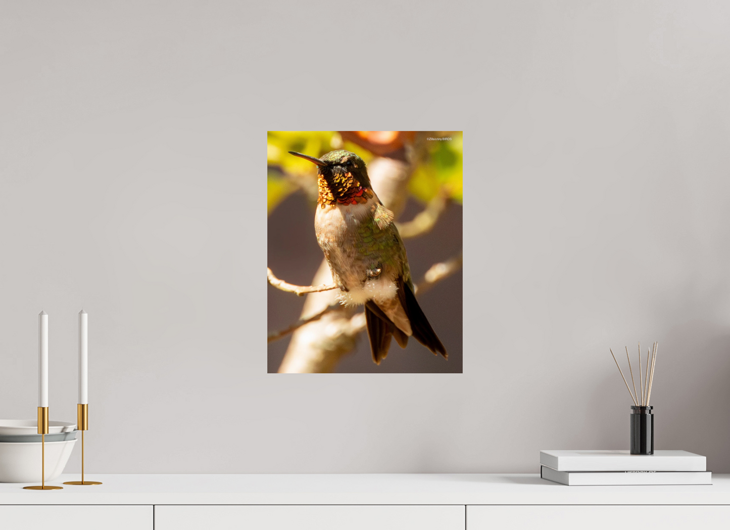 12 x 14.9″, Photo Print On Fuji Crystal DP II Zillas Zoom Image 339