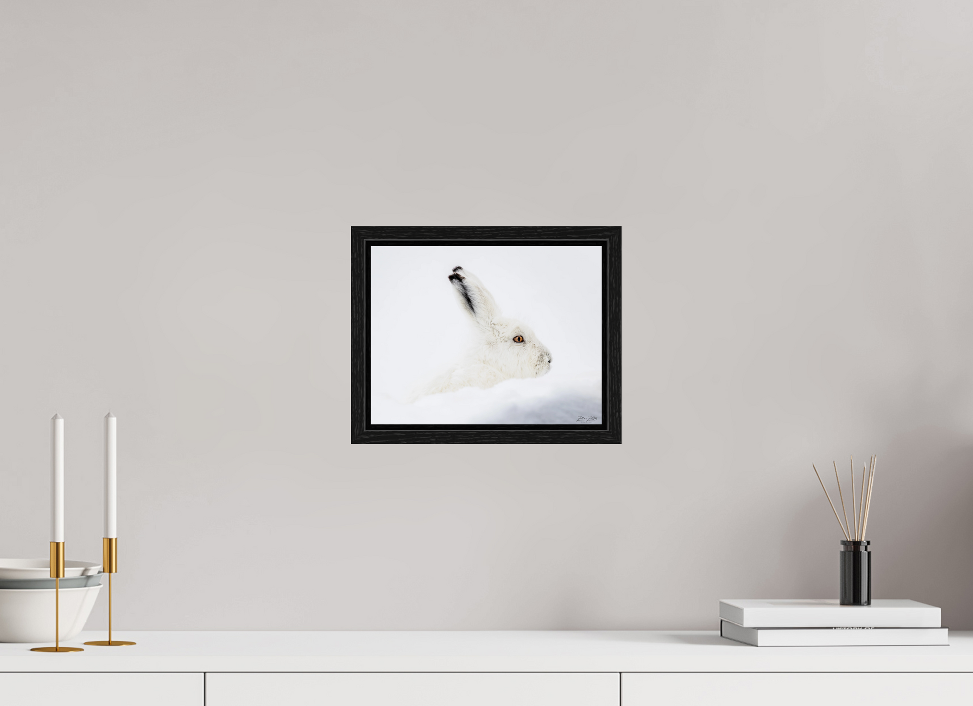 10.4 x 8″, Floater Frame Zillas zoom image 147