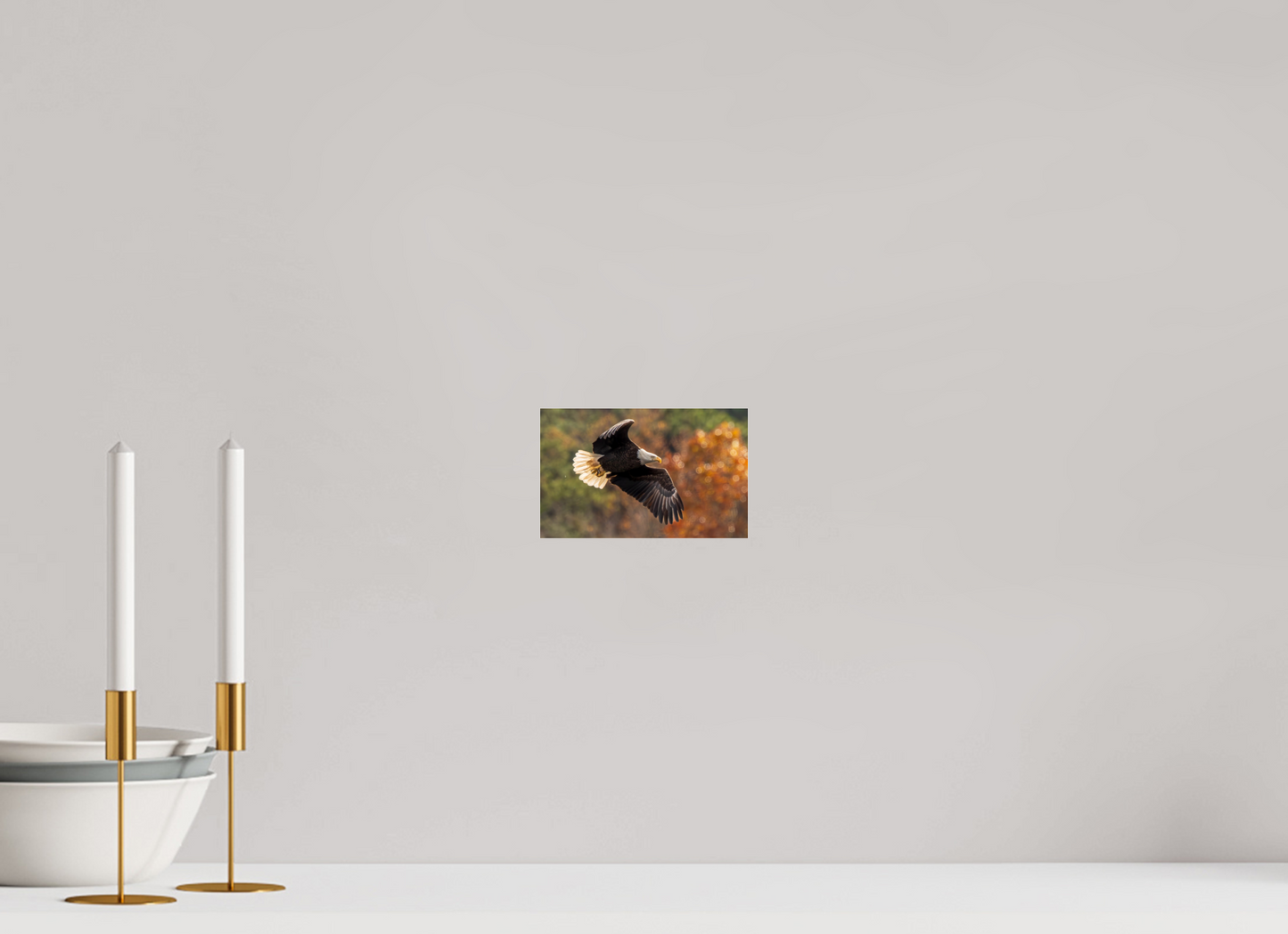 6.4 x 4″, Photo Print Under Acrylic Glass Zillas Zoom Image 396